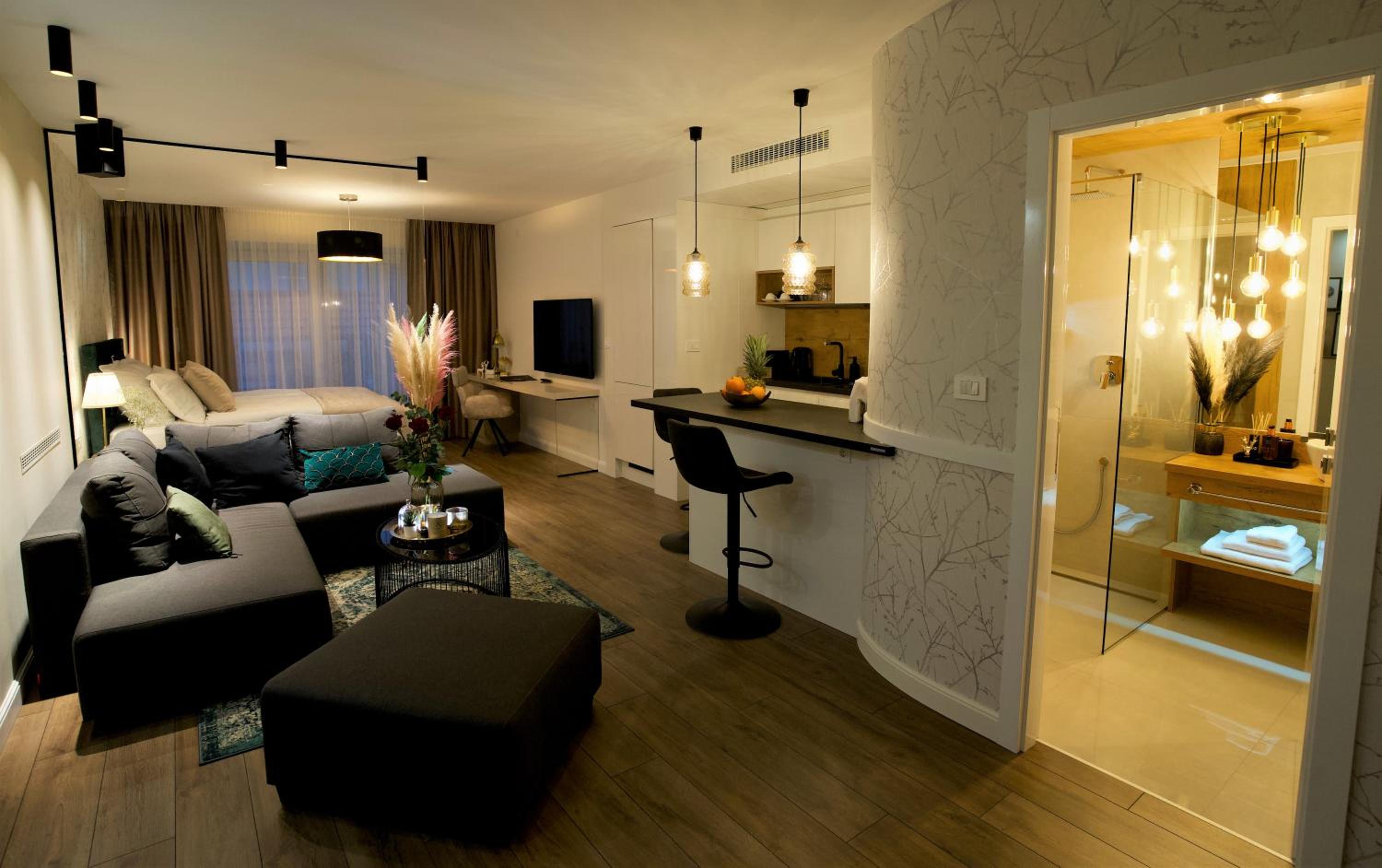 One-Bedroom Apartment - Photo 1