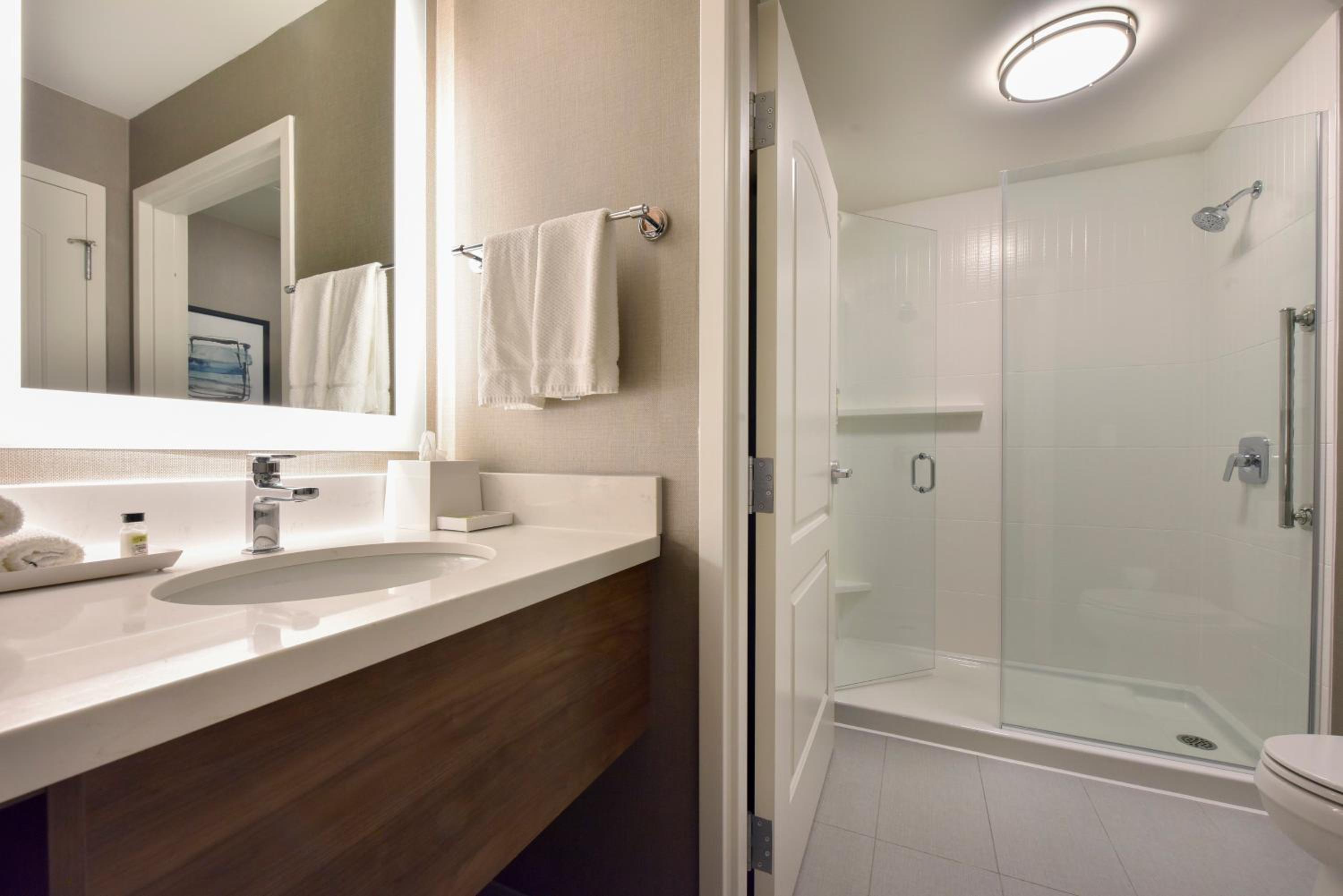 King Studio Suite - Photo 13