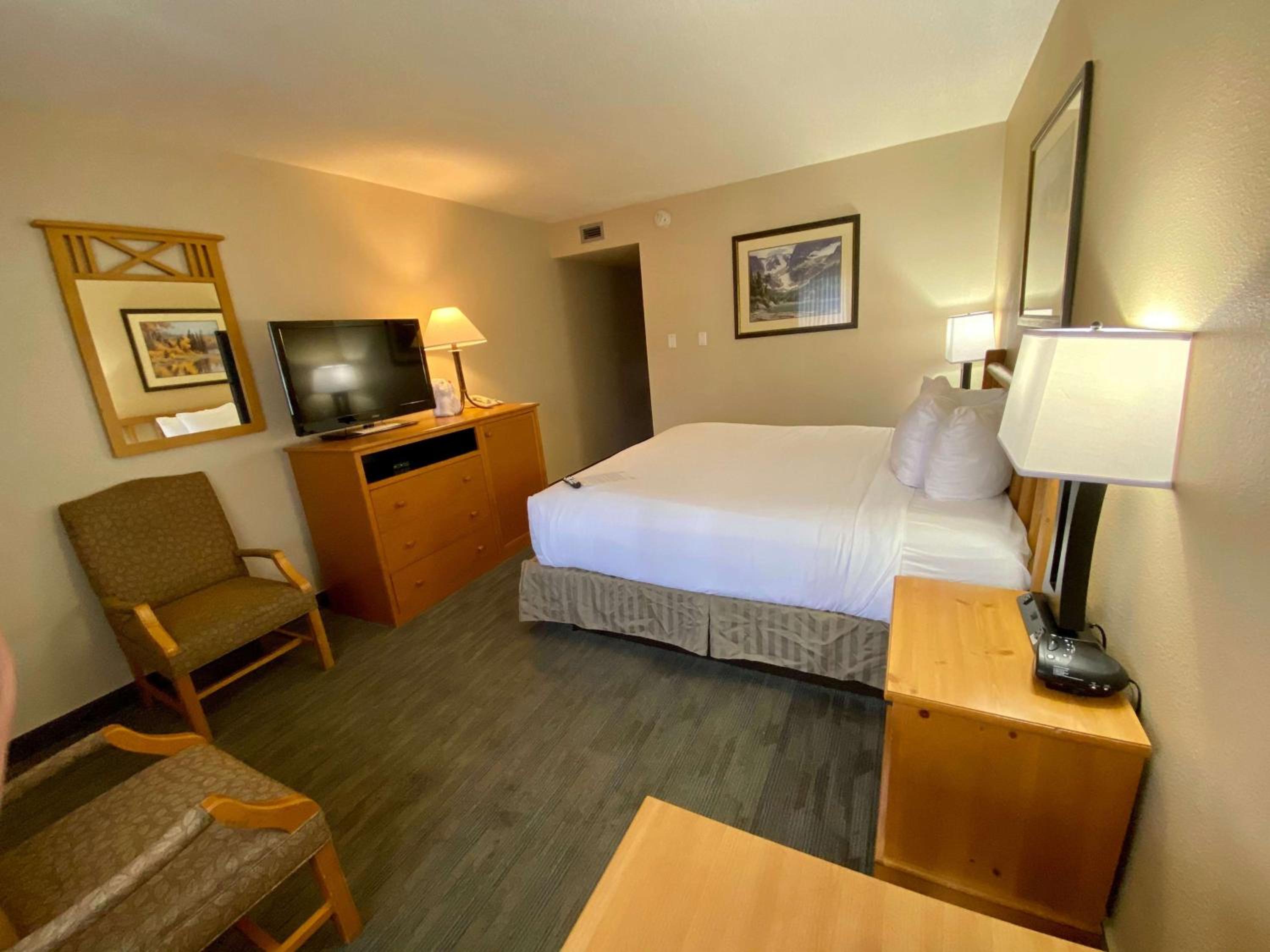 King Room - Pet Friendly - Photo 6