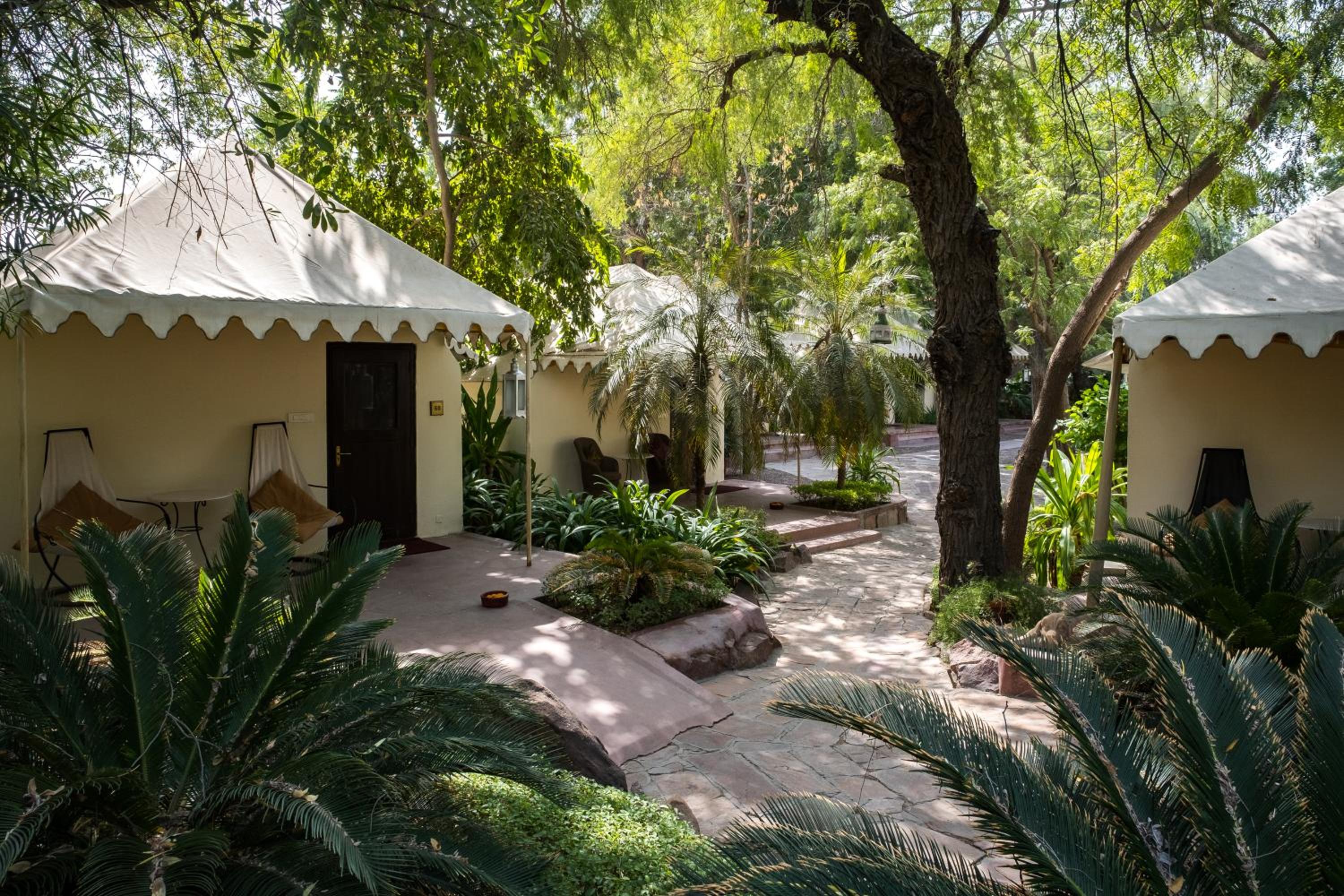Vintage Tent Enjoy Buffet Breakfast, Wifi,Welcome Drink upon arrival, Early Check in & Late Check out – subject to availability - Photo 7