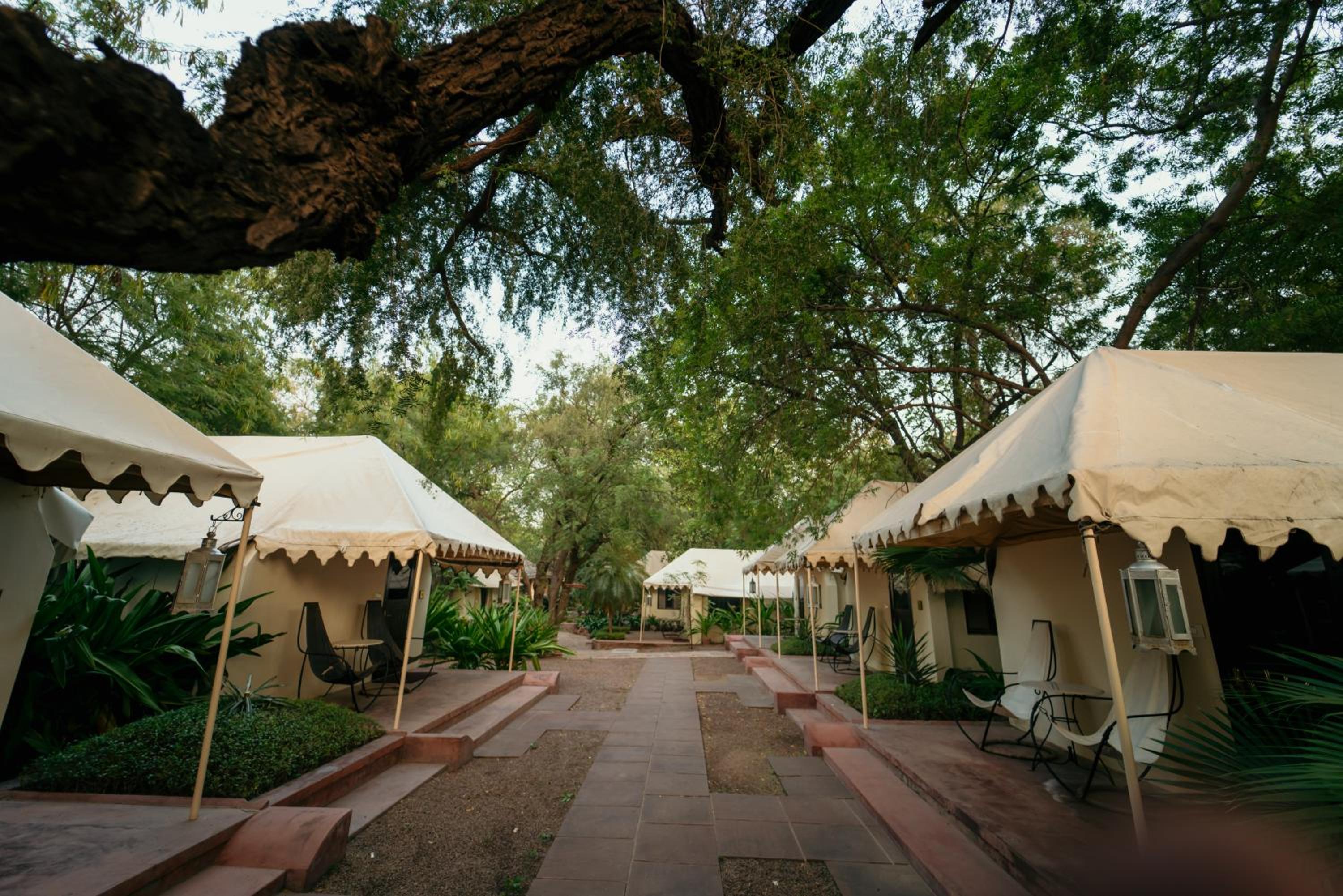 Vintage Tent Enjoy Buffet Breakfast, Wifi,Welcome Drink upon arrival, Early Check in & Late Check out – subject to availability - Photo 5