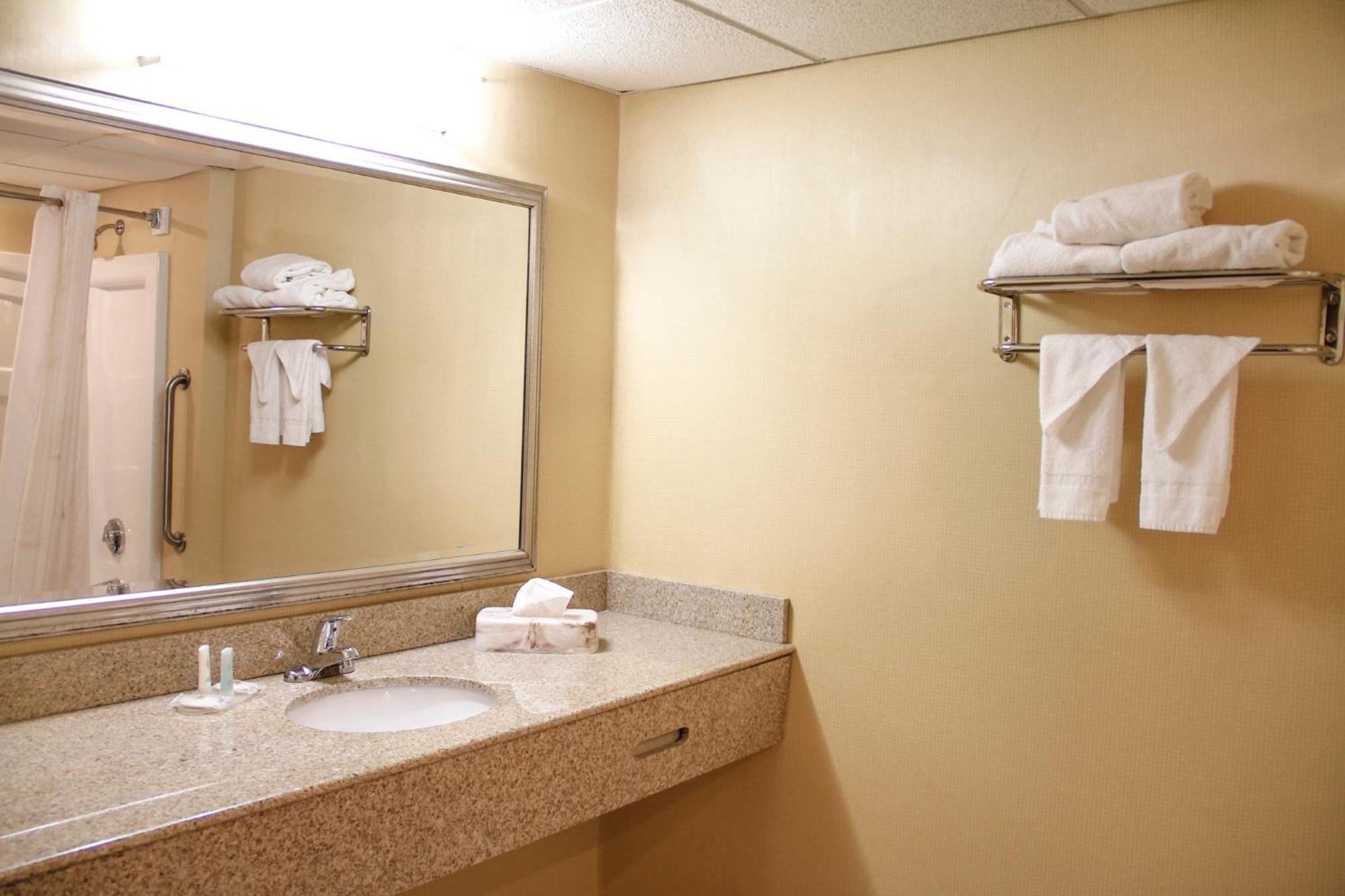 Comfort Inn & Suites Syracuse-Carrier Circle, Photo 4