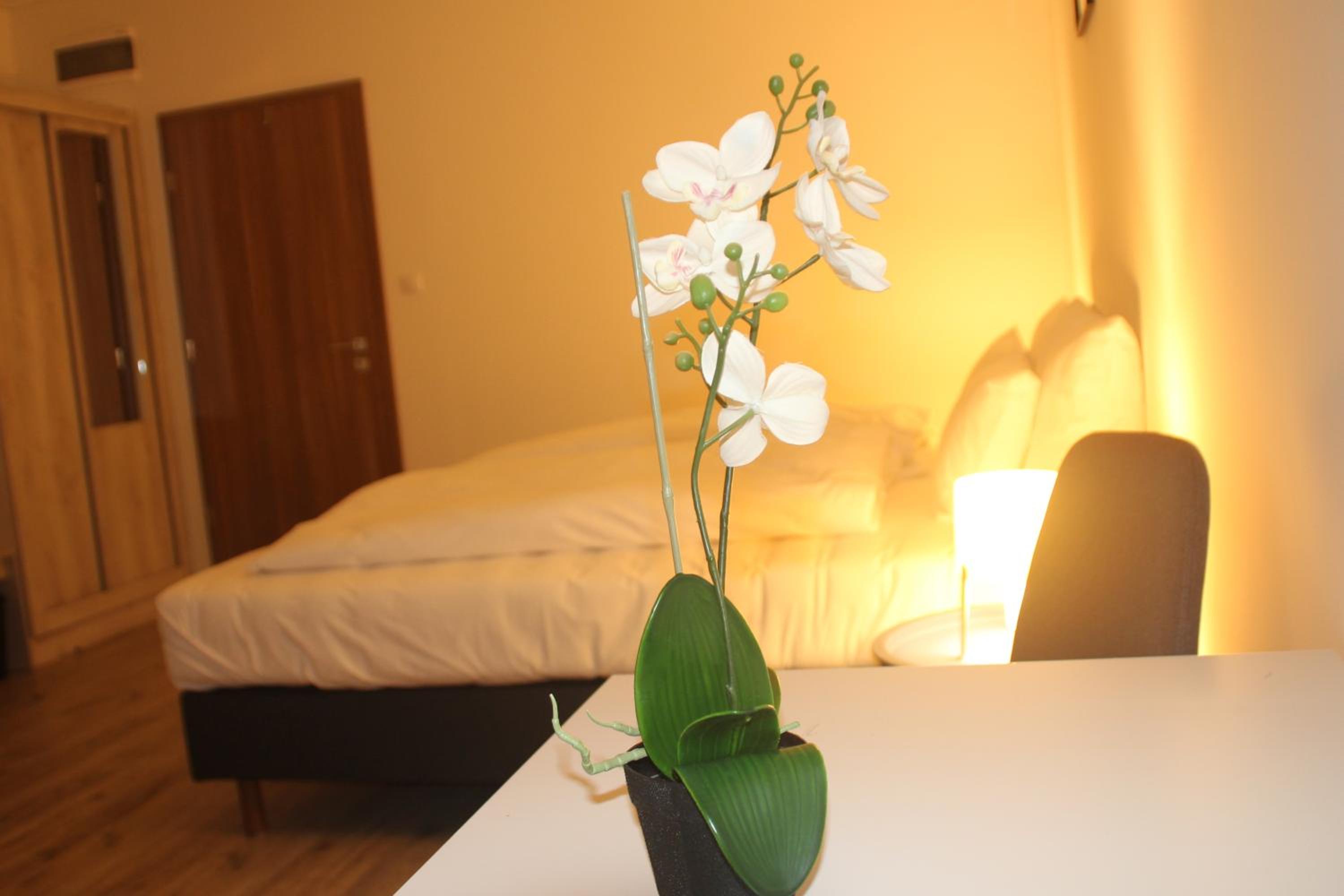 Standard Double or Twin Room - Photo 6