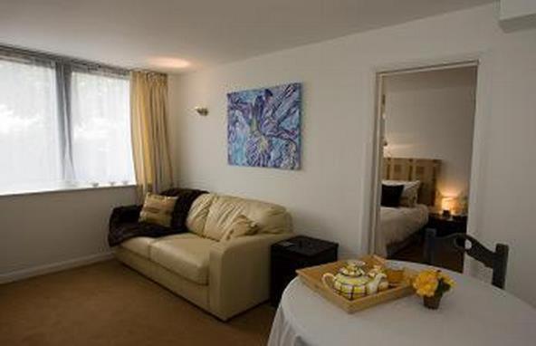 One-Bedroom Apartment photo 3