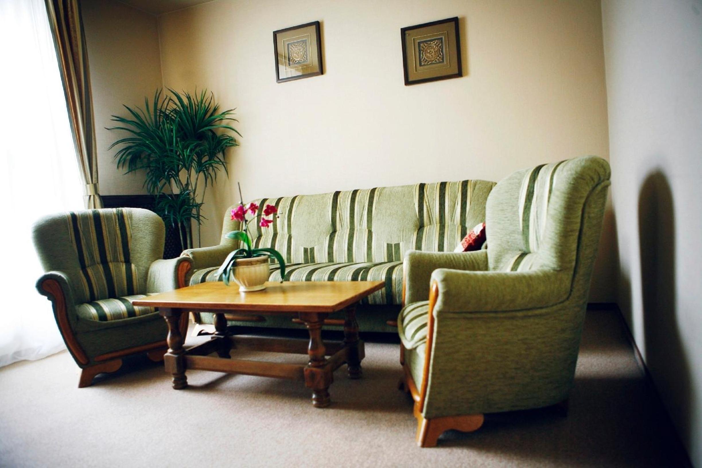 One-Bedroom Apartment with Sofa Bed - Photo 12