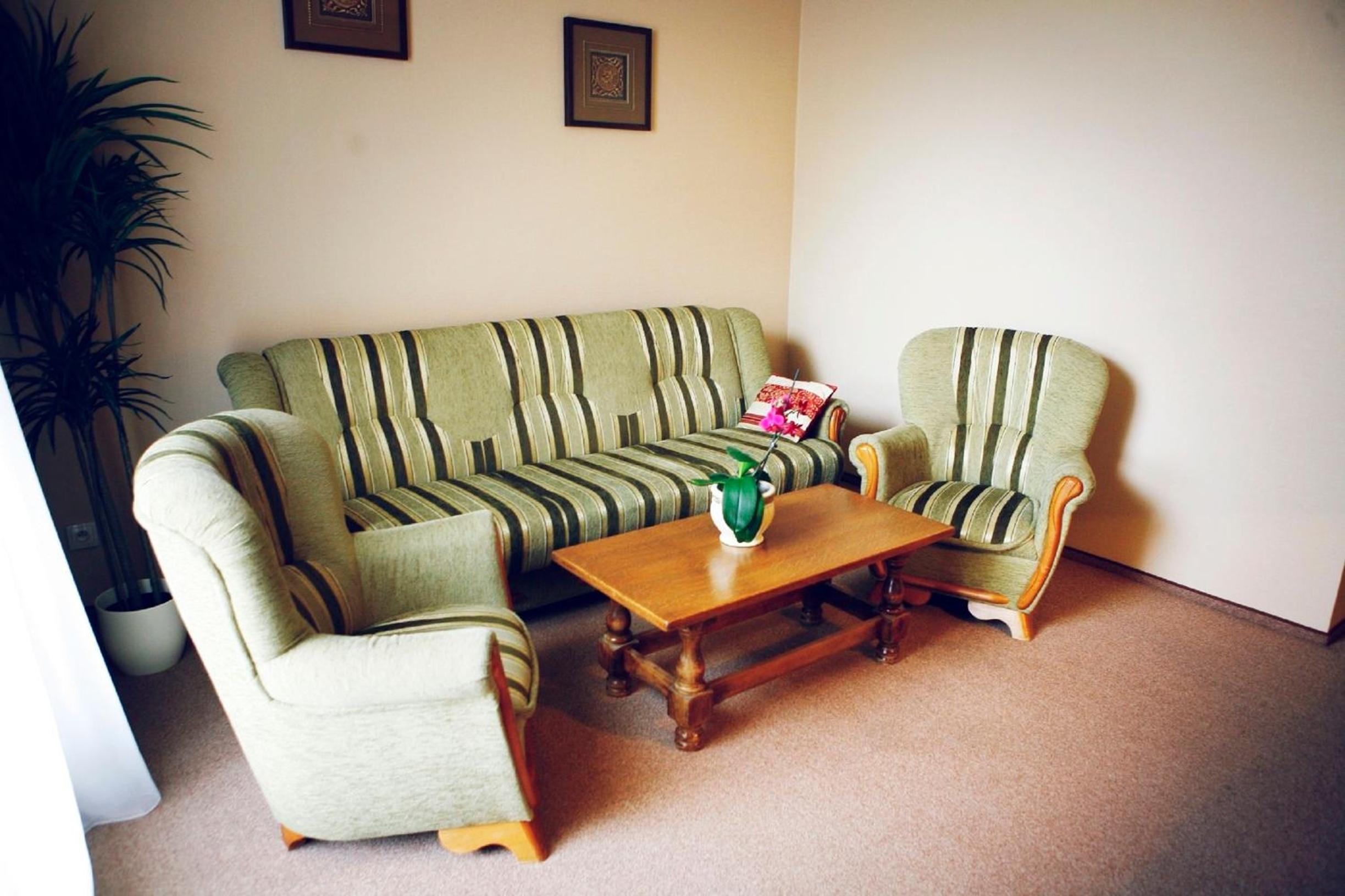 One-Bedroom Apartment with Sofa Bed - Photo 13