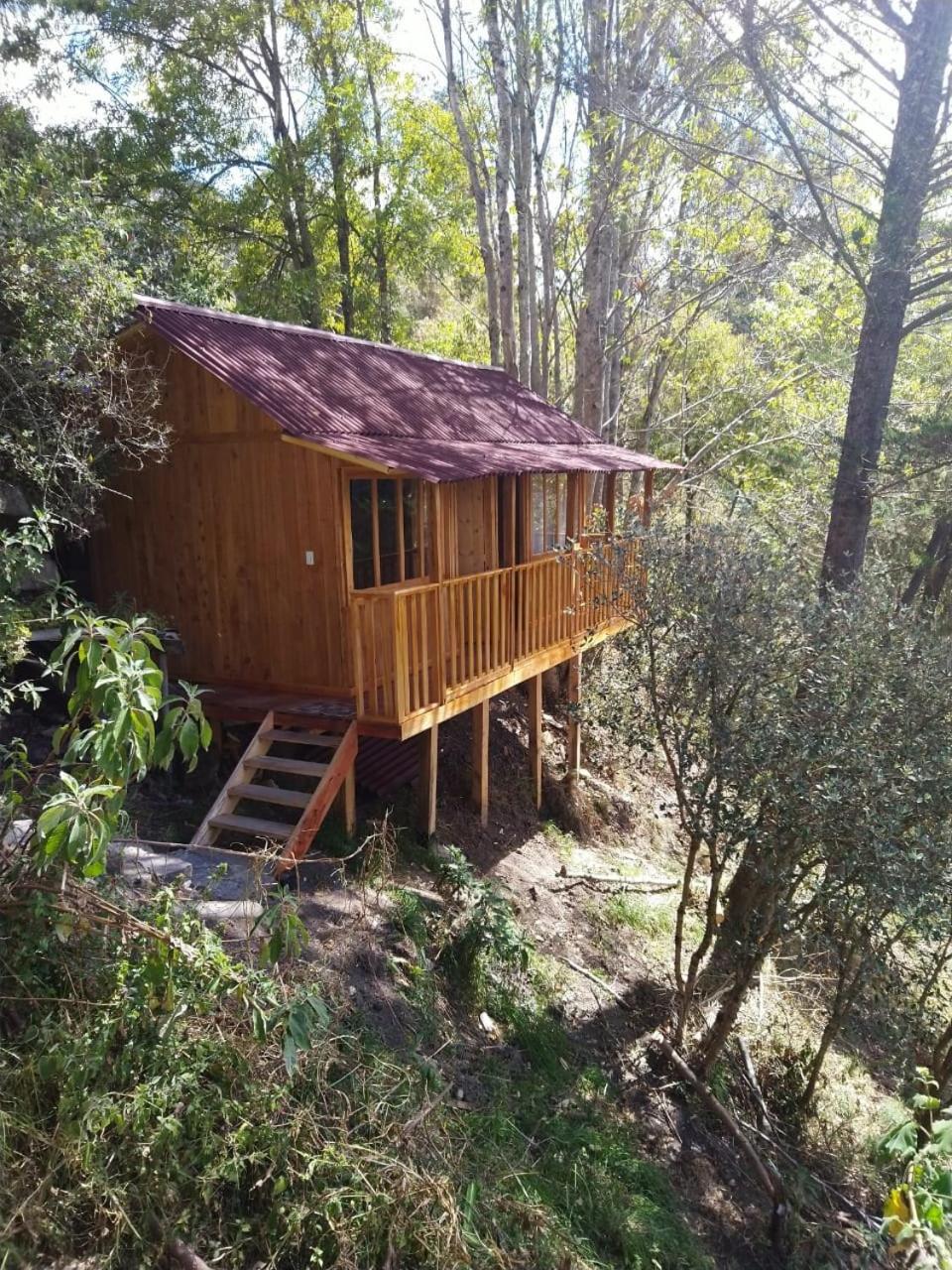 Double Room with Mountain View photo 2