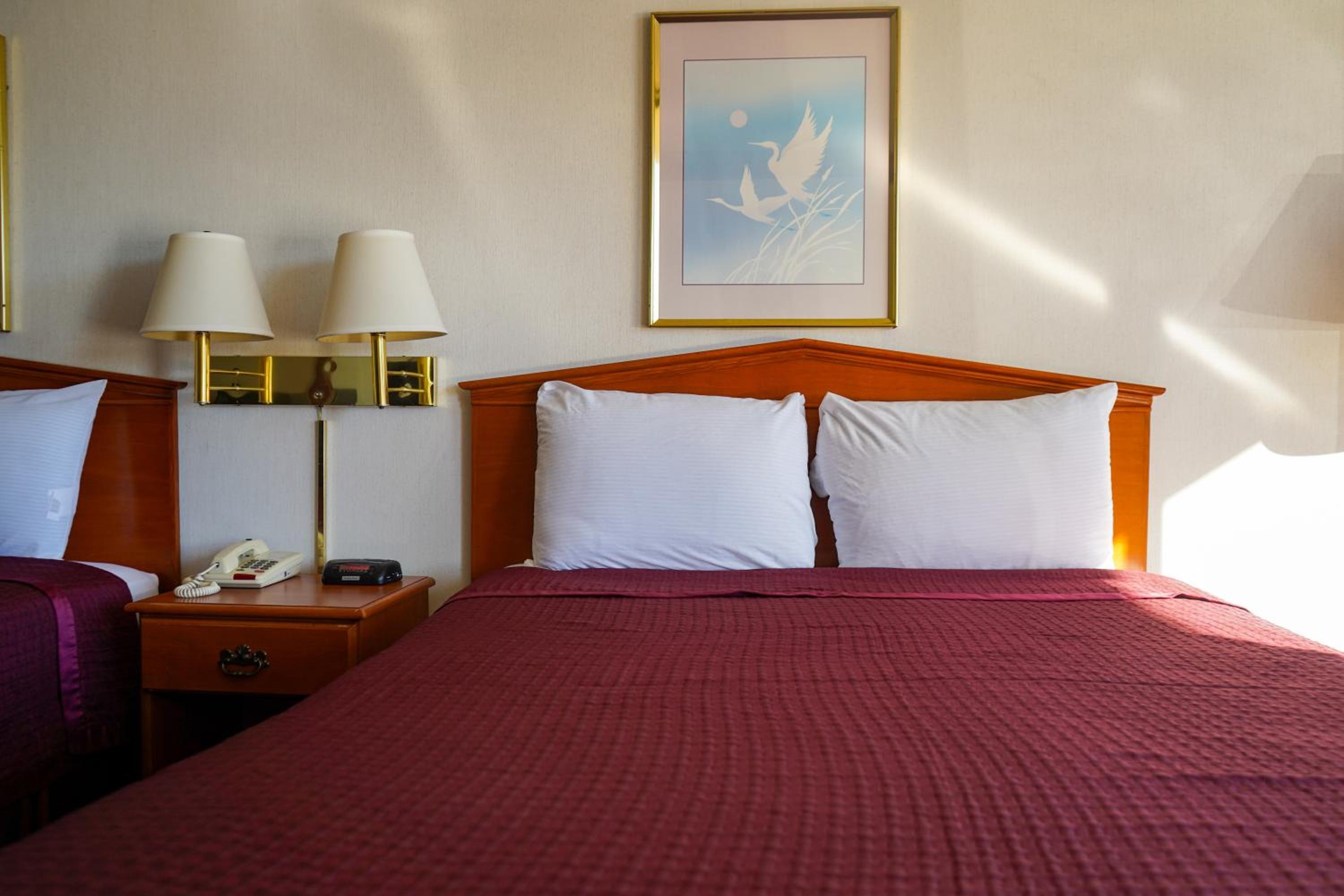 Queen Room with Two Queen Beds photo 1