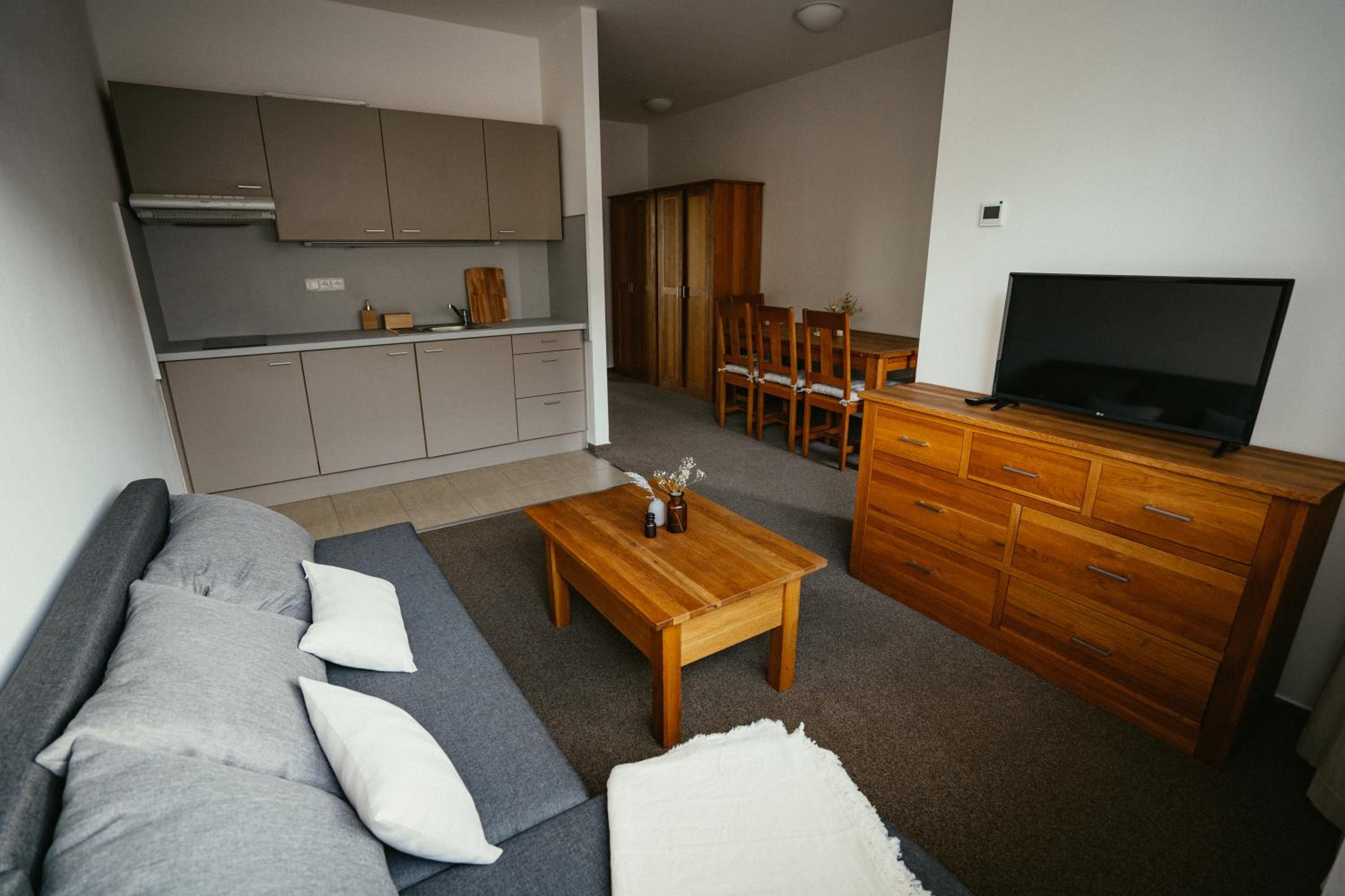 One-Bedroom Apartment photo 1