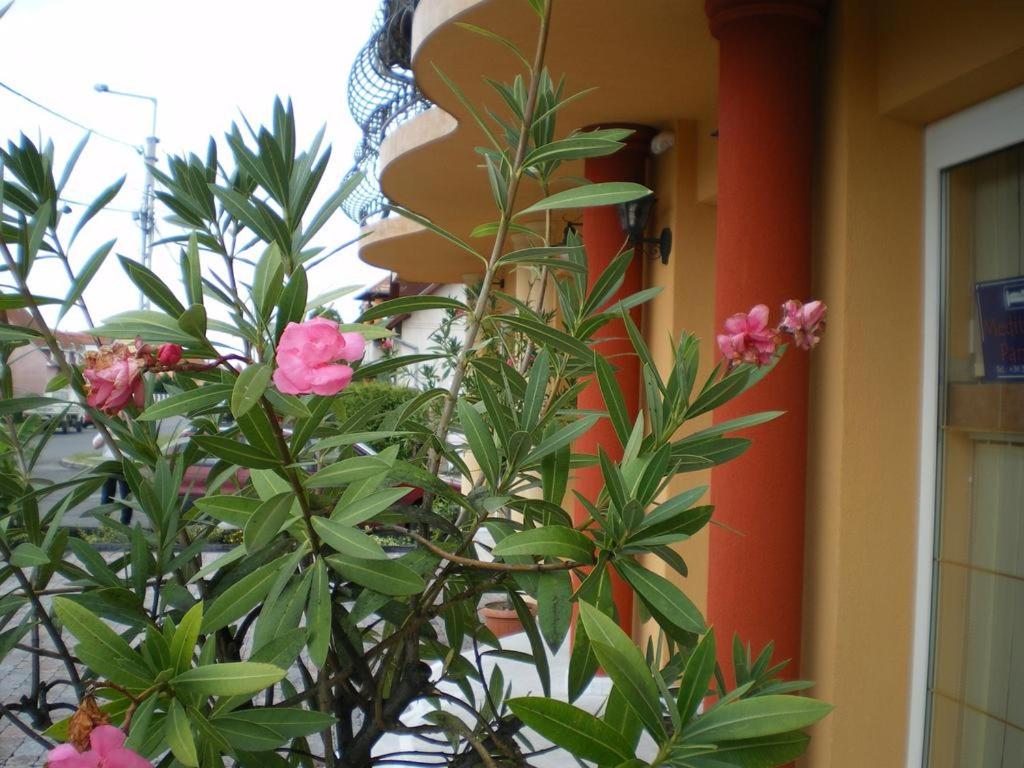 Apartment With Balcony photo 2