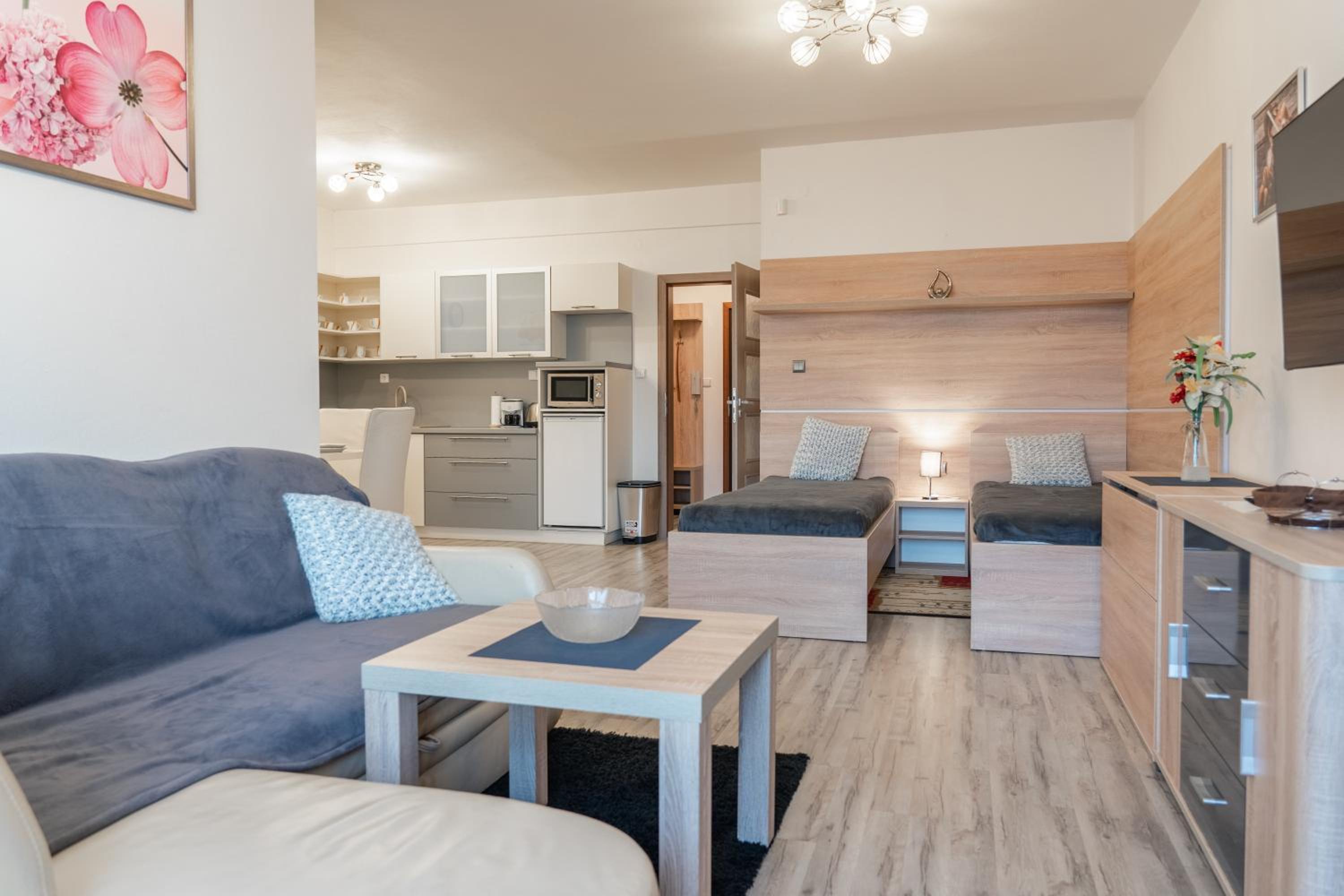 Apartment with Mountain View (B12) photo 2