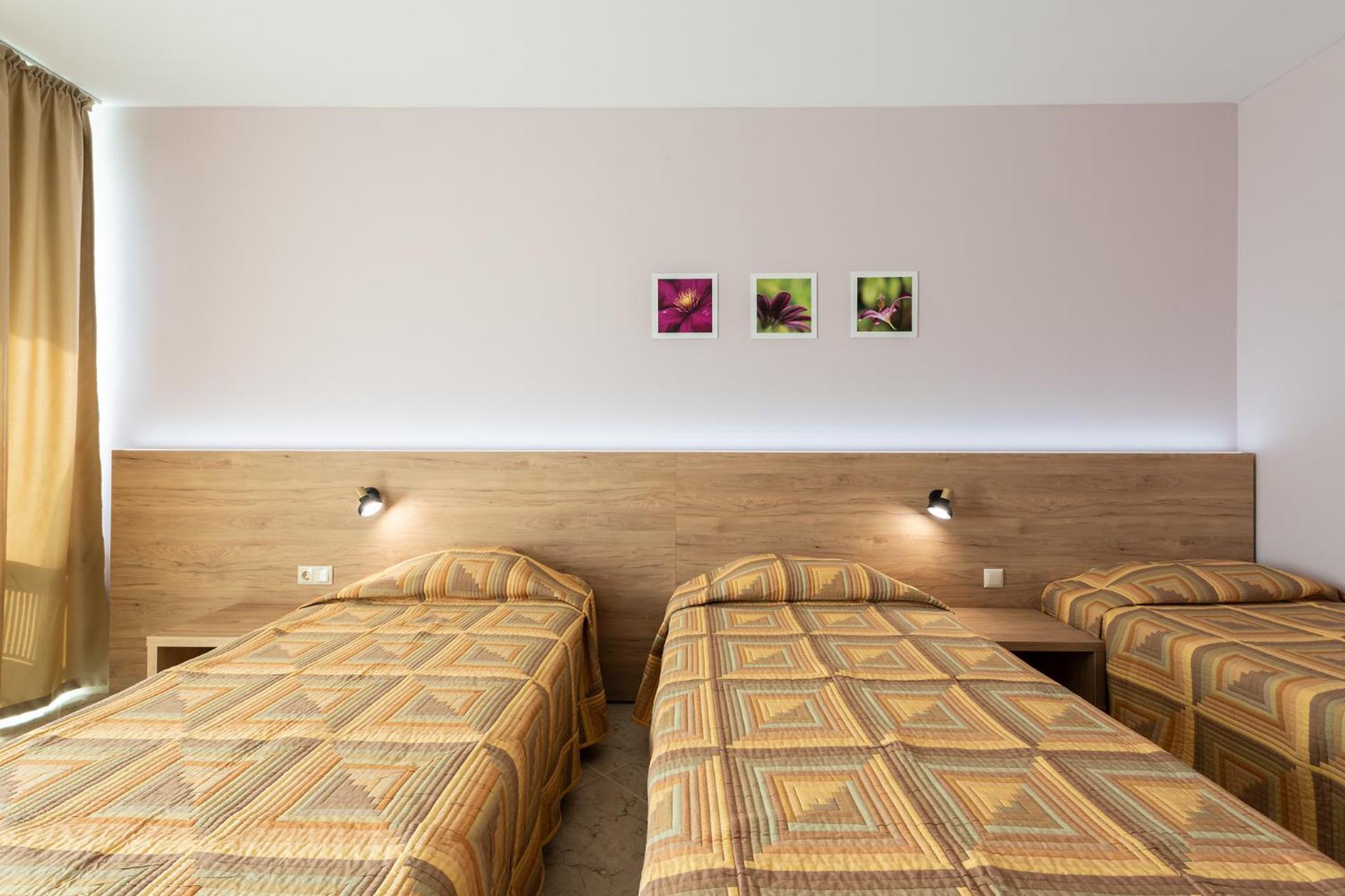 Double or Twin Room (2 Adults + 1 Child) - Photo 4