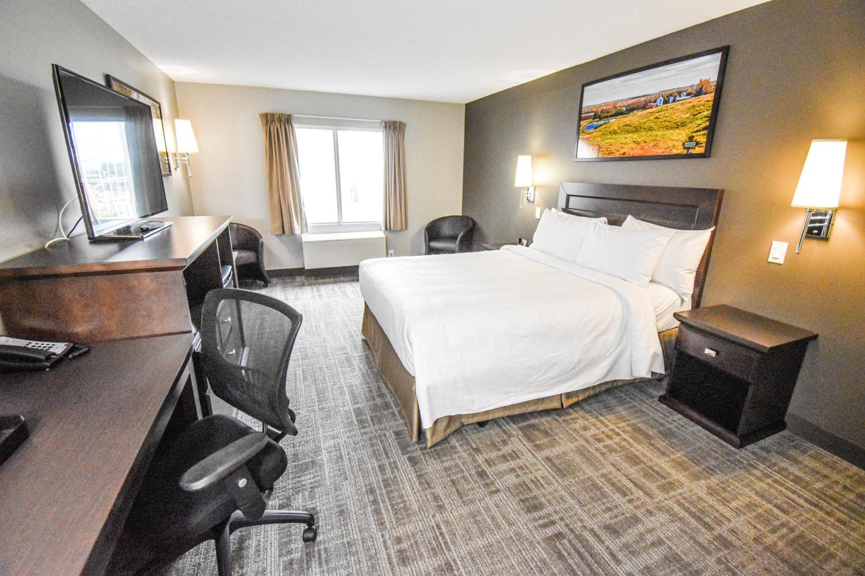 Queen Room - Disability Access - Photo 2