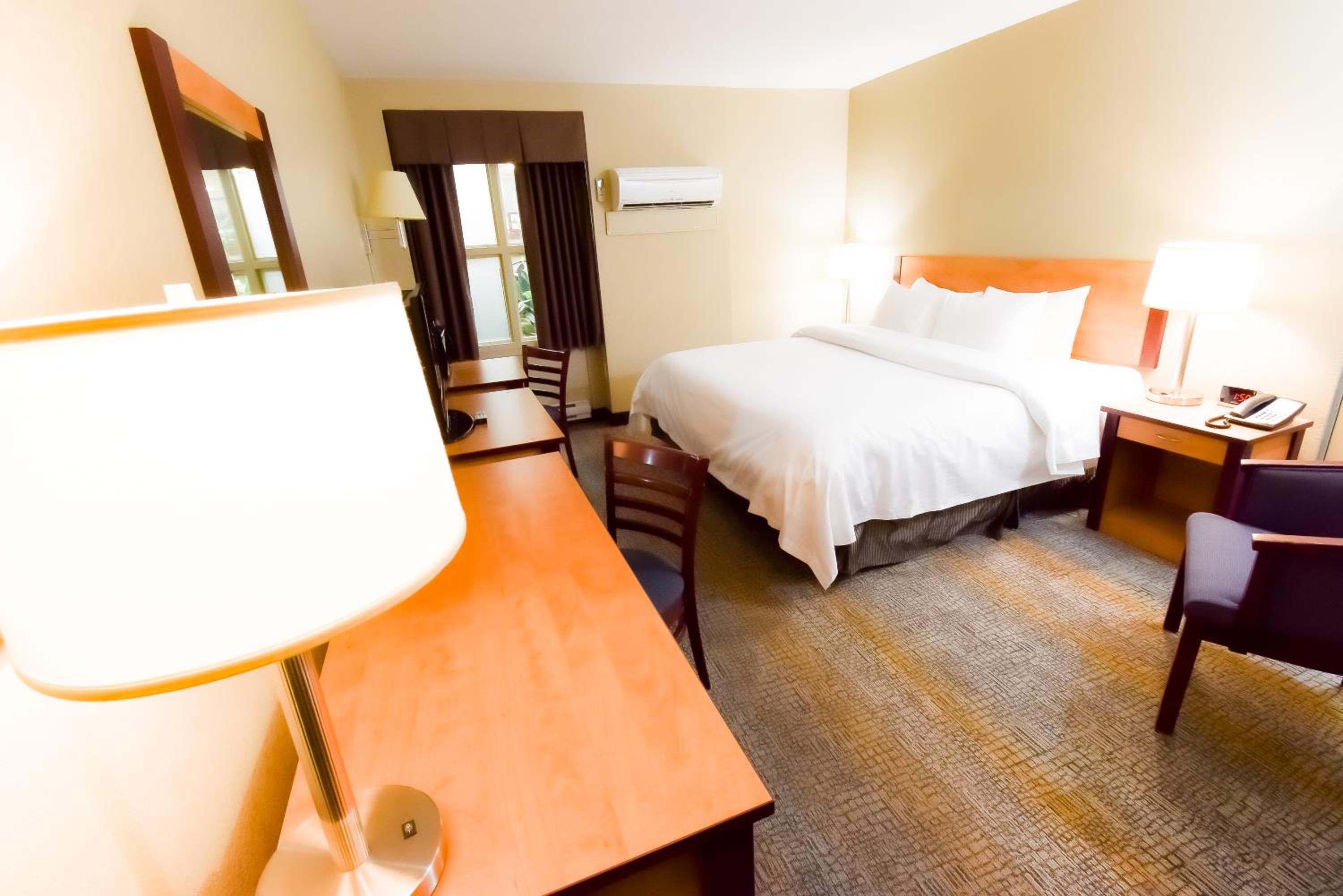 King Room photo 3