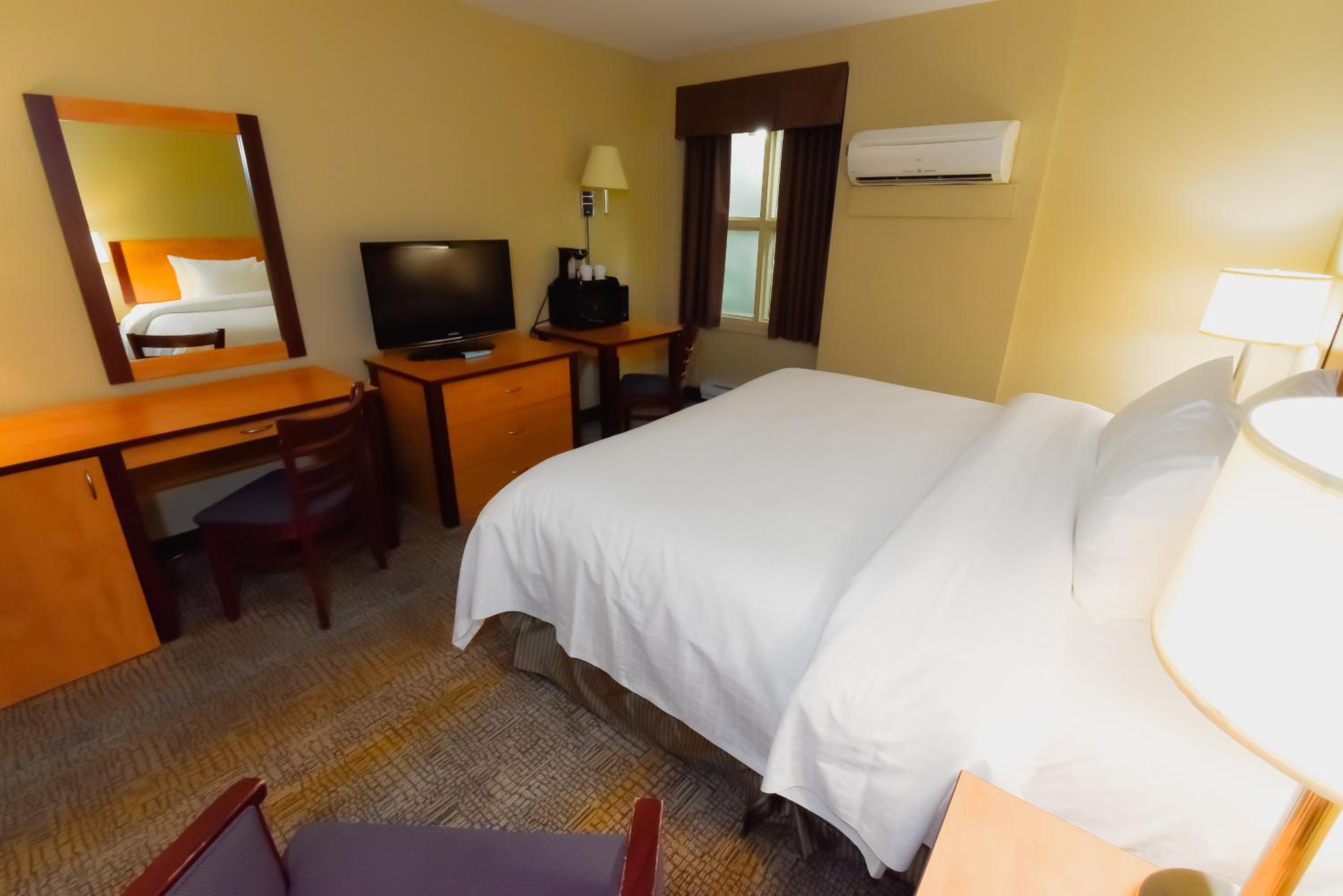 King Room photo 1
