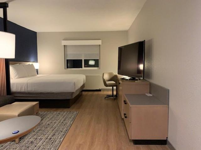 King Room with Sofa Bed - High Floor - Photo 5