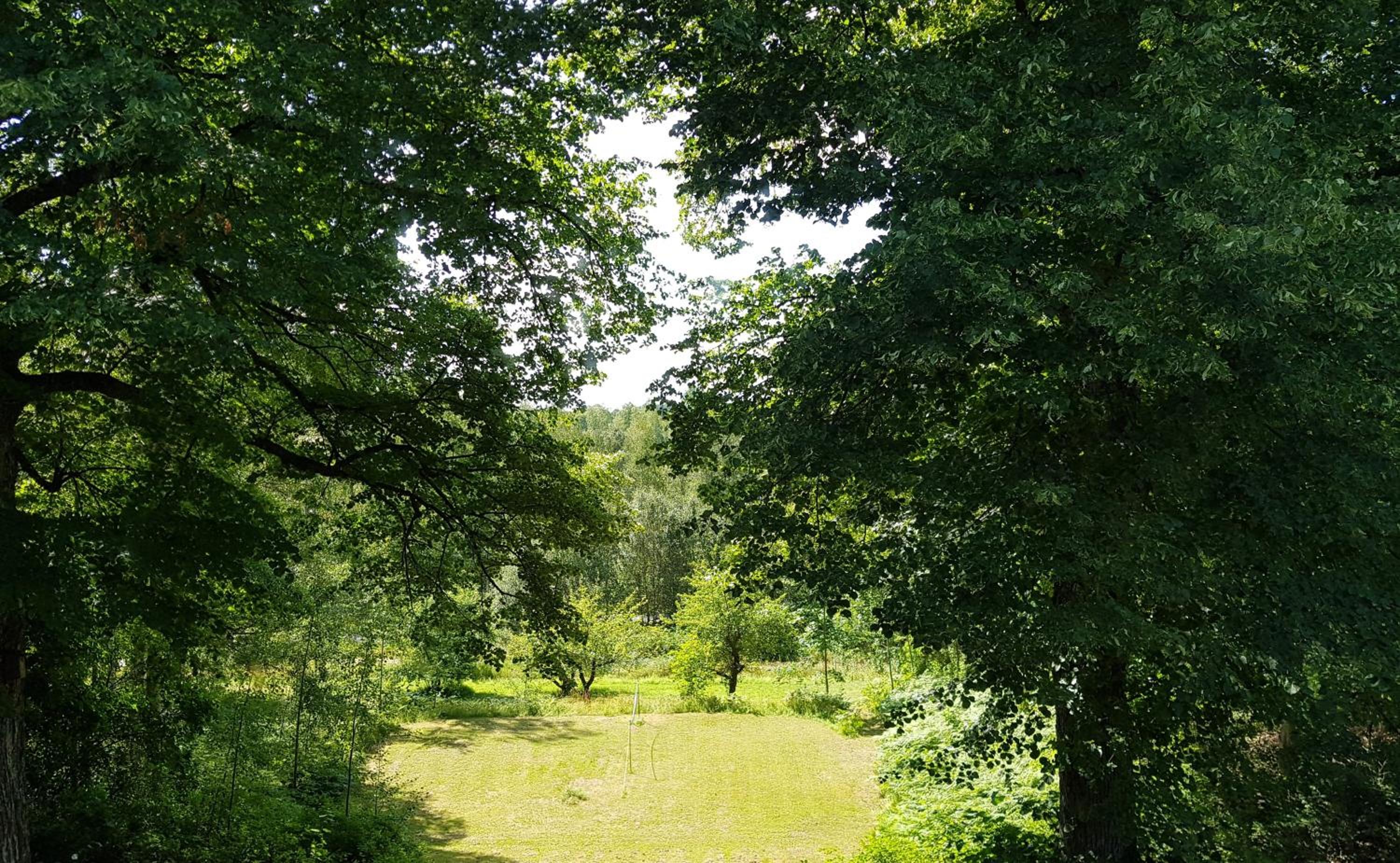 Double Room with Garden View photo 2