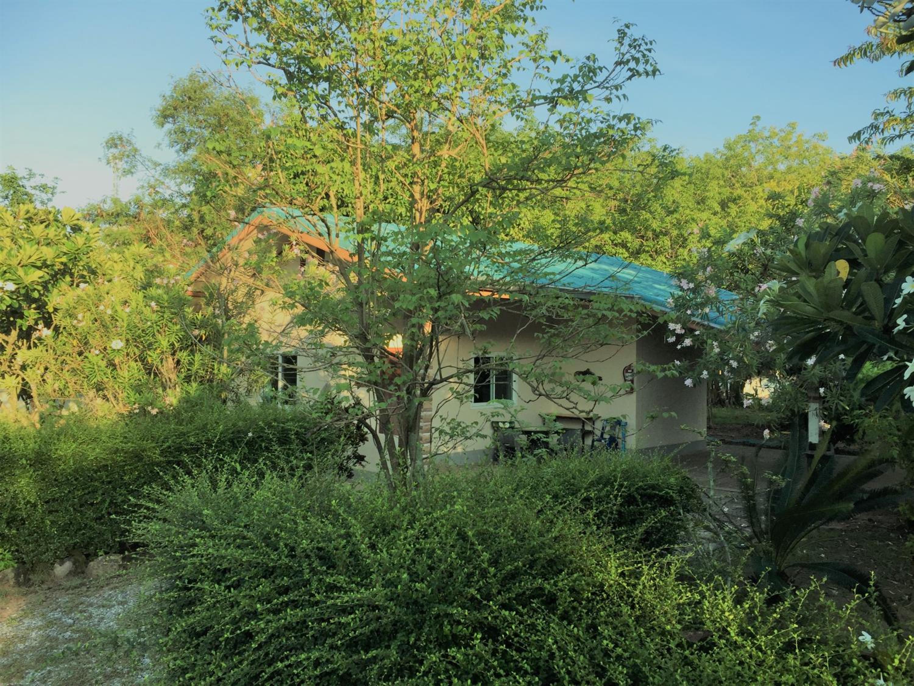 One-Bedroom Bungalow - Photo 10