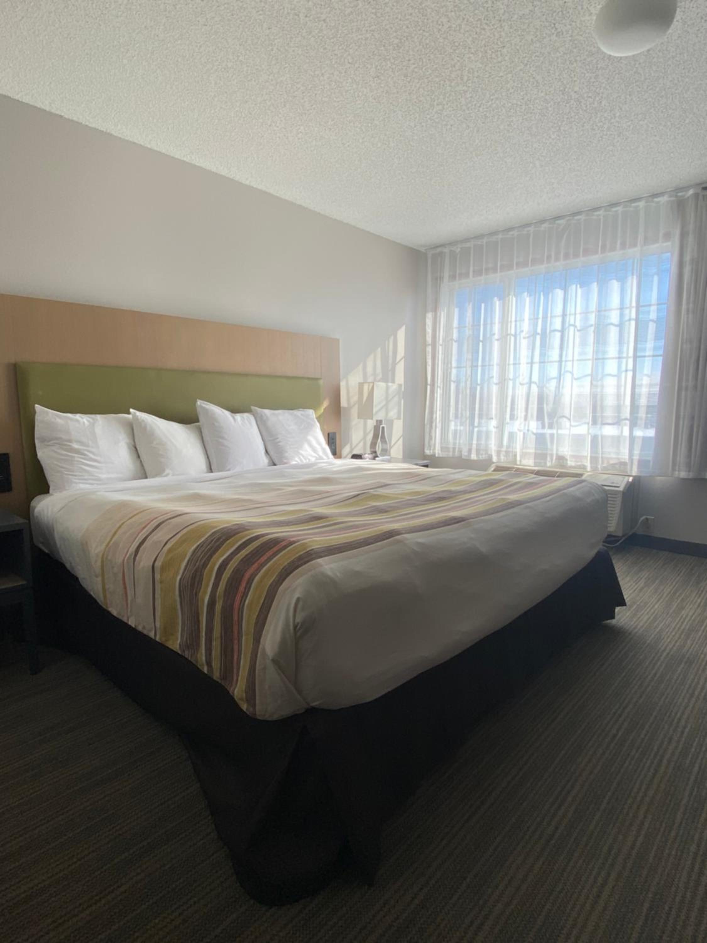 Premium King Suite with Bunk Beds - Non-Smoking - Photo 2
