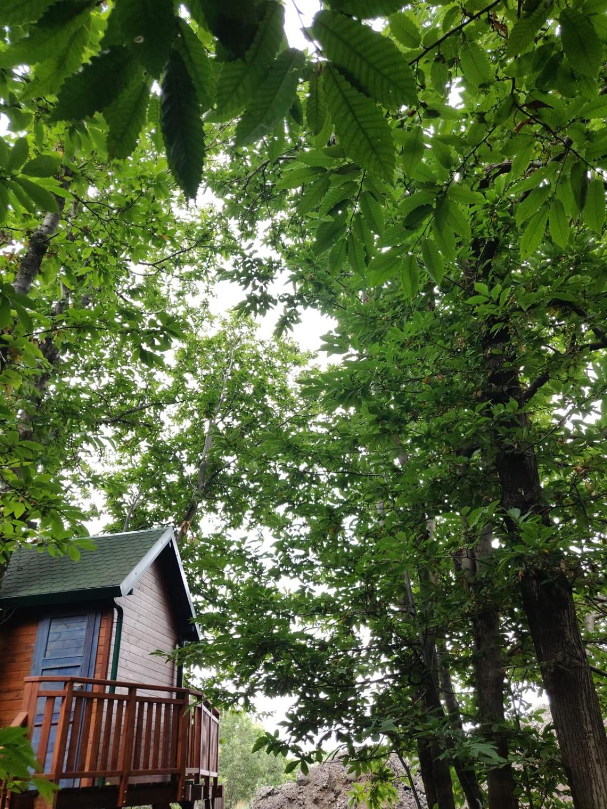 Chalet - Photo 11