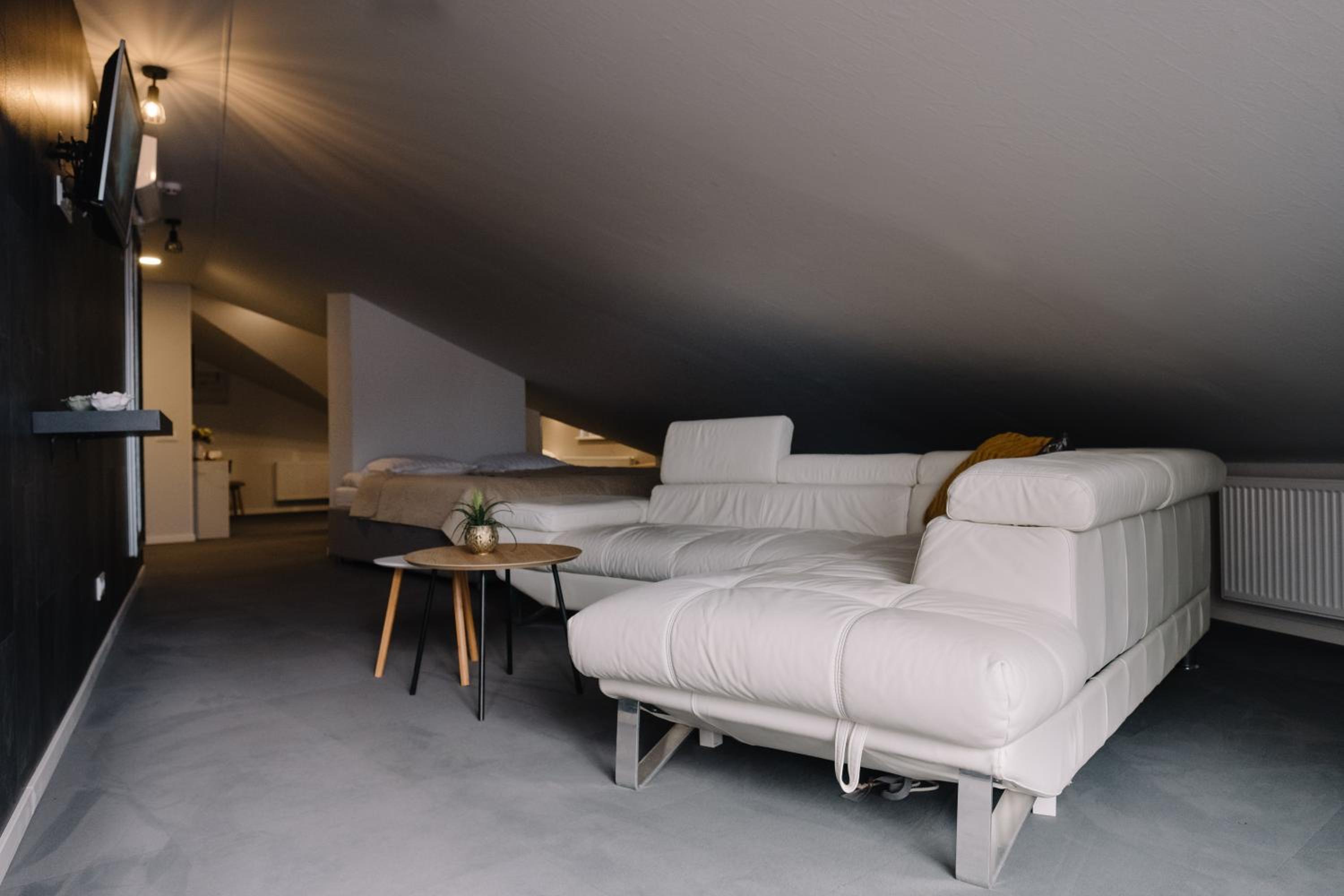 Penthouse Apartment - Photo 4