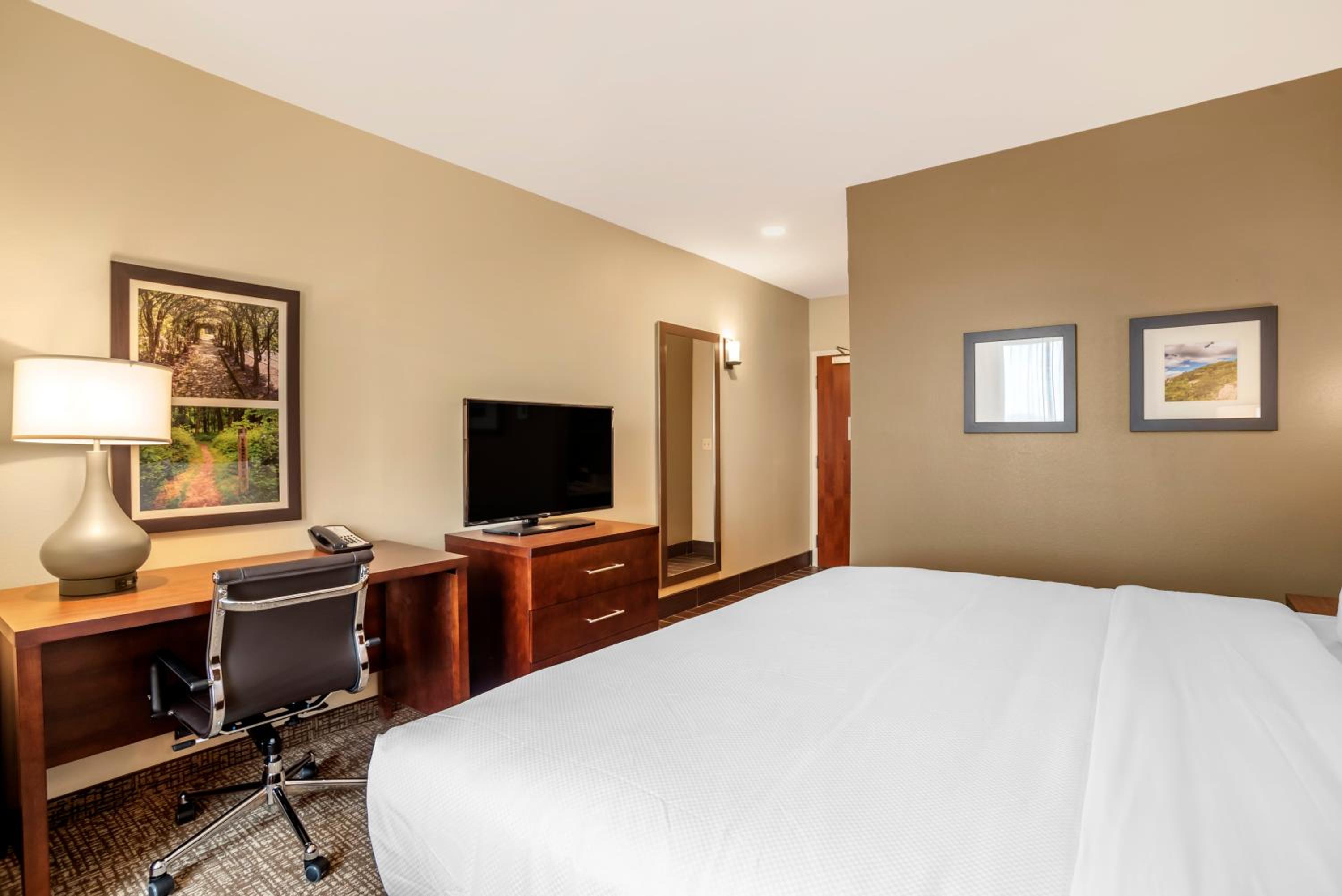 Standard King Room - Non-Smoking  - Photo 1