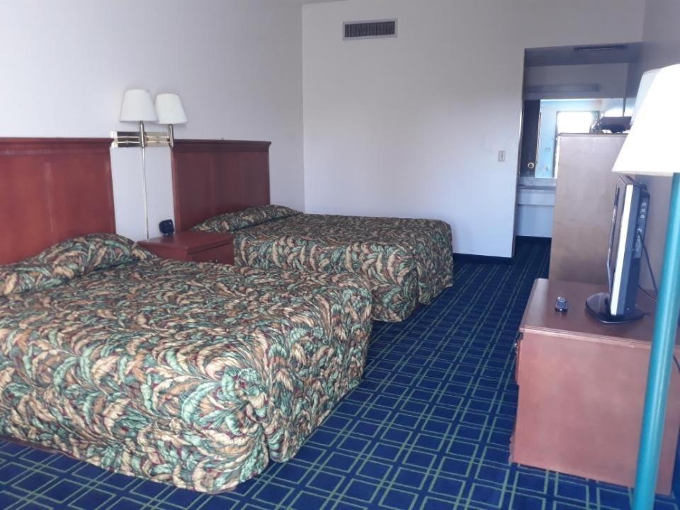 Budget Double or Twin Room photo 1