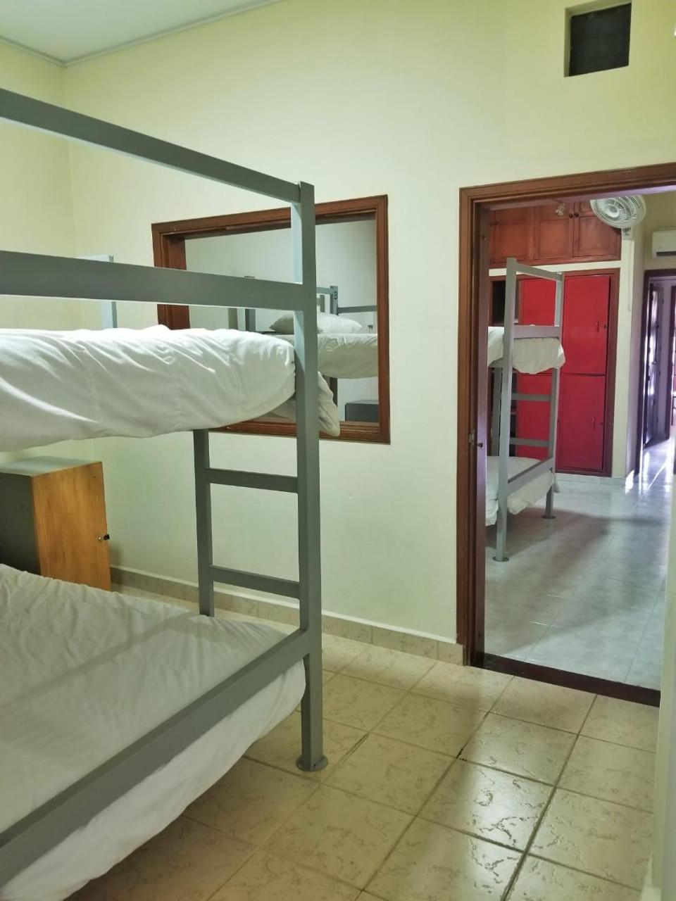 Single Bed in 4-Bed Dormitory Room photo 1