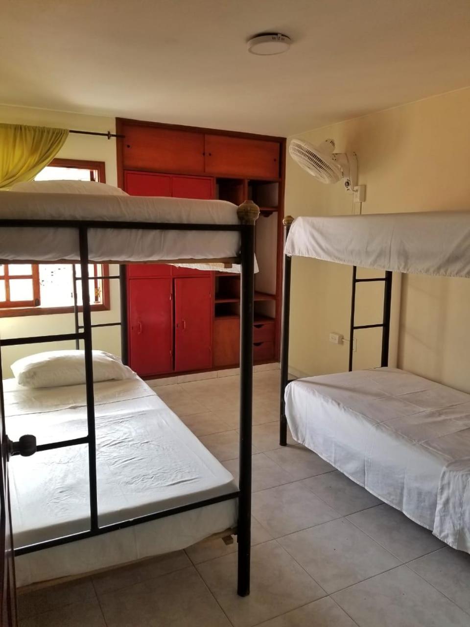 Bed in 4-Bed Dormitory Room photo 1
