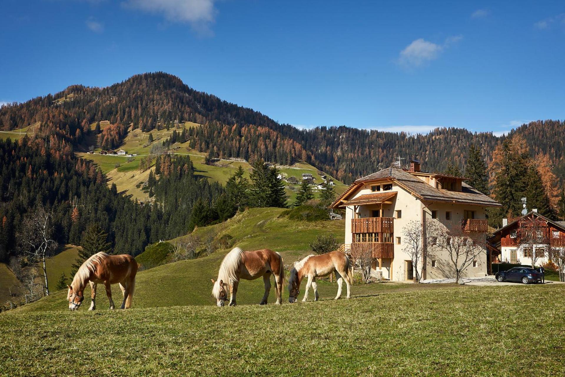 Chalet photo 2