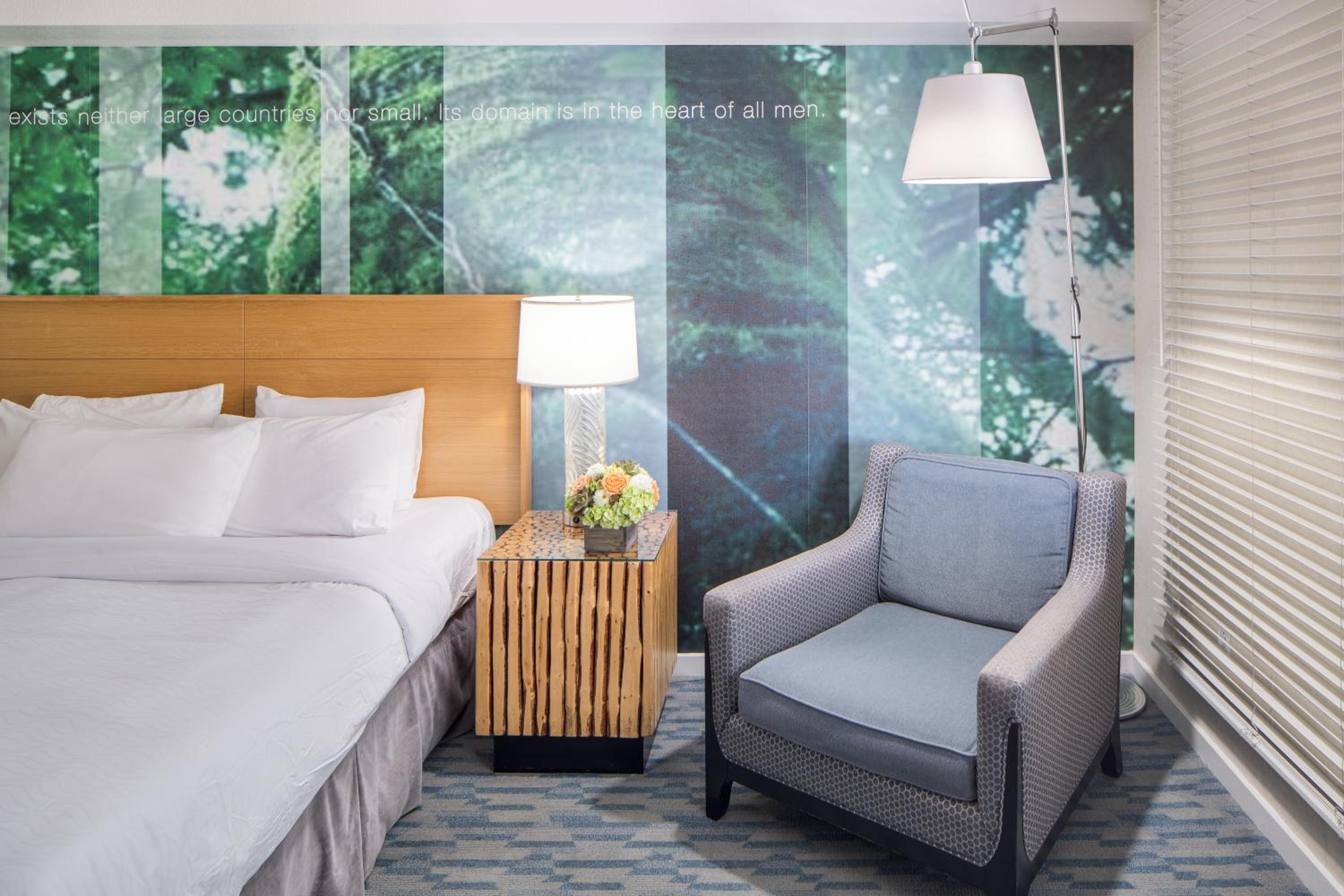 Deluxe Room King - Photo 5