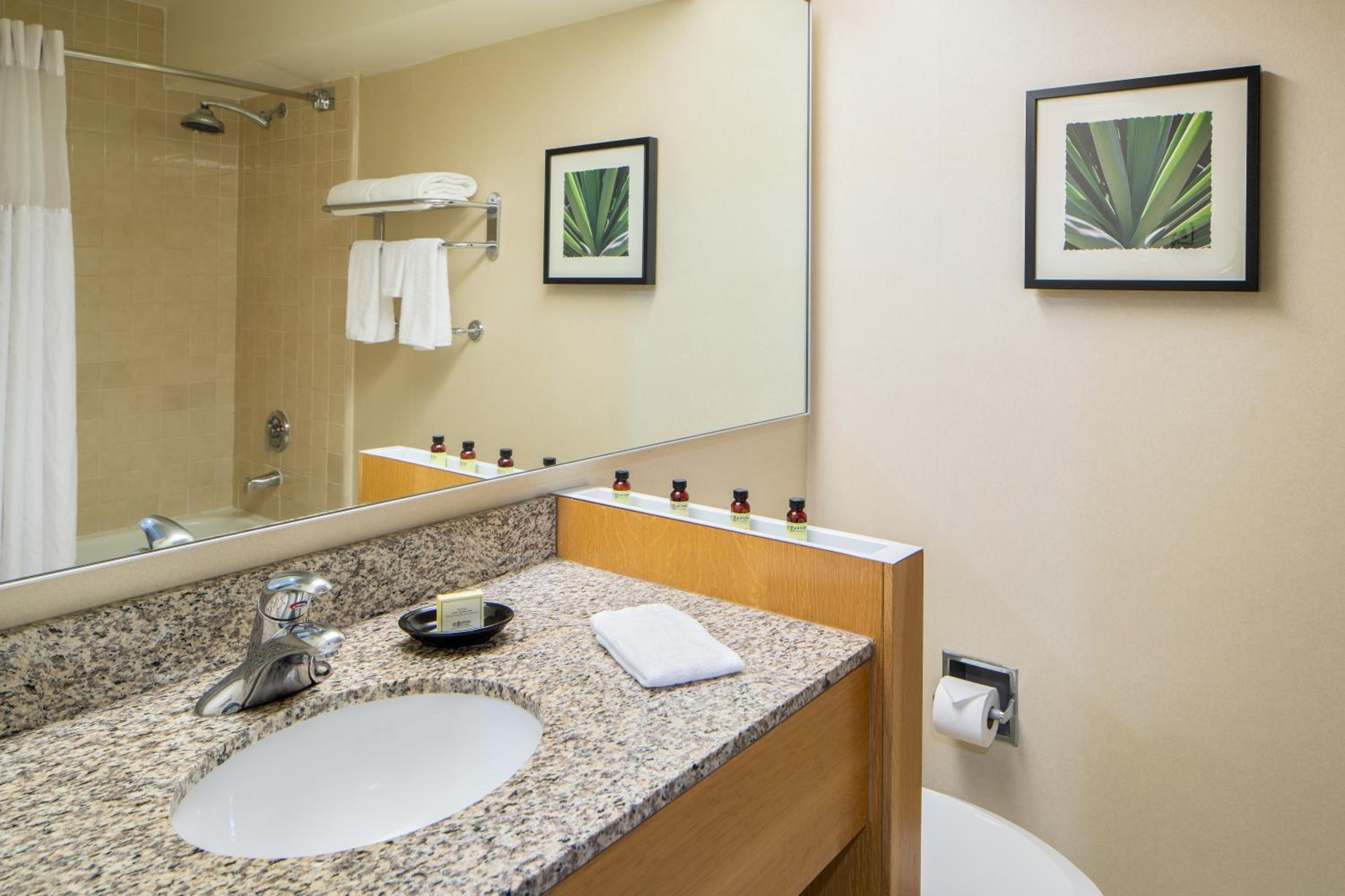 Deluxe Room King - Photo 4