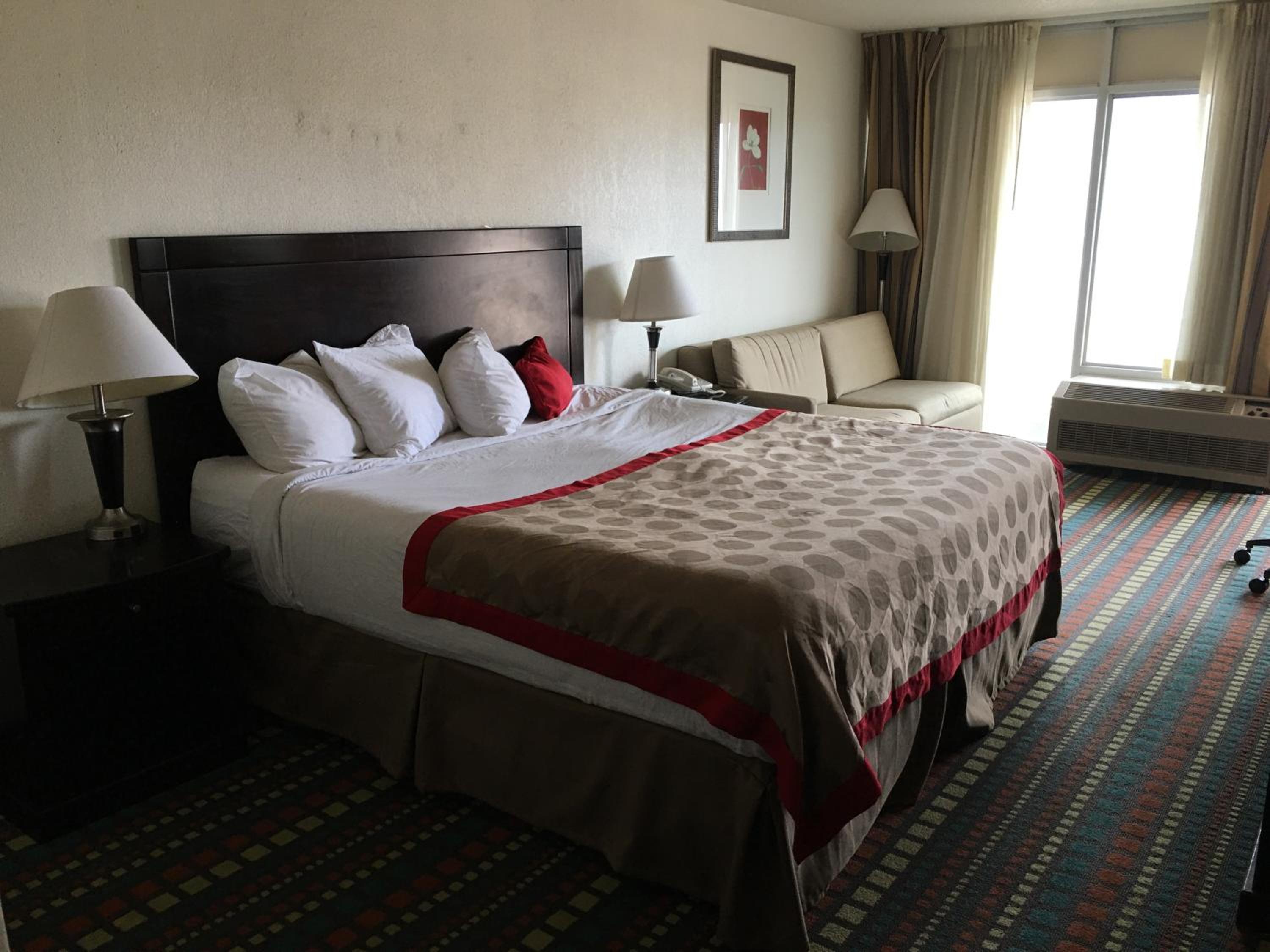 King Room - Photo 5