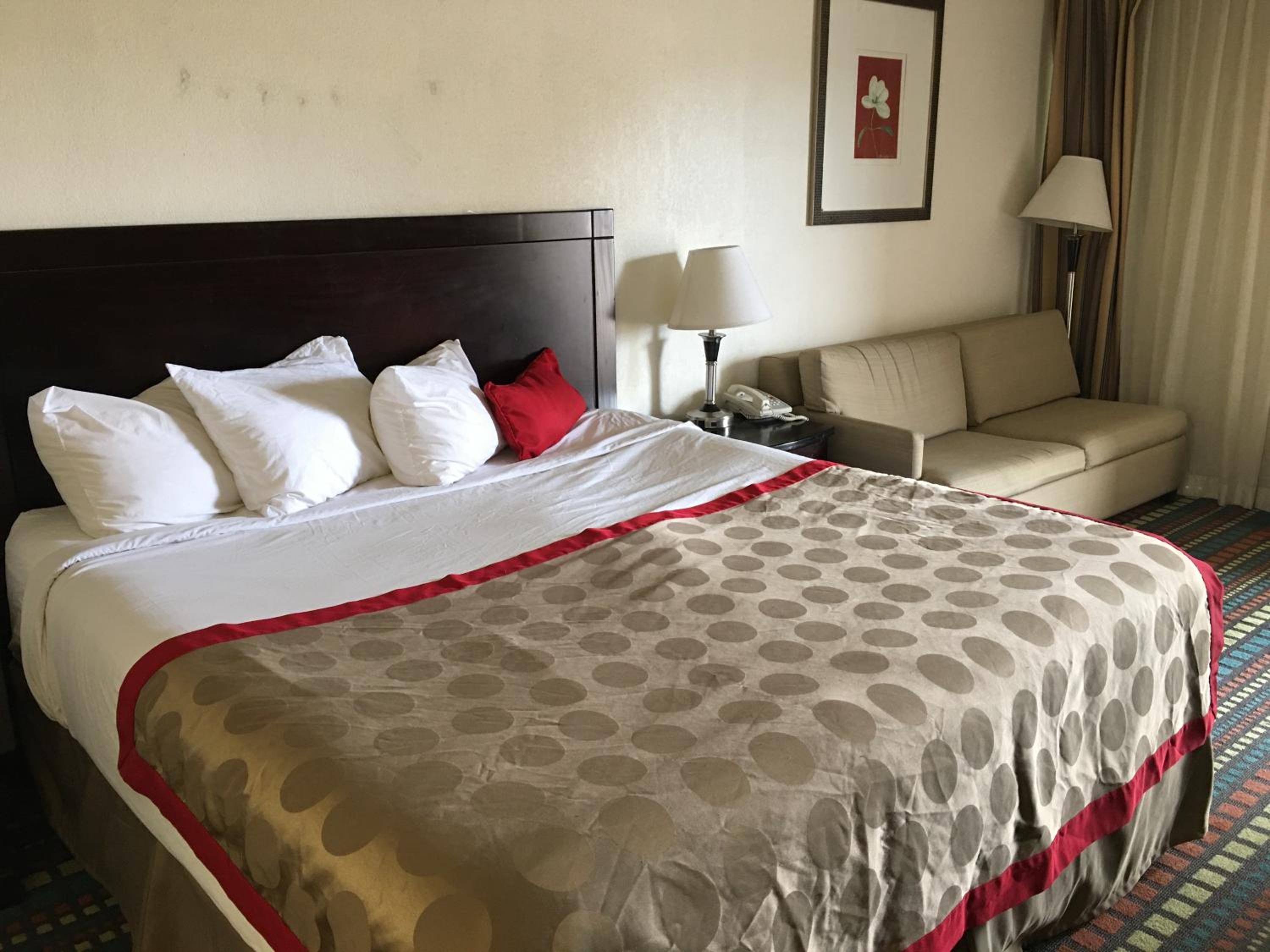 King Room - Photo 10