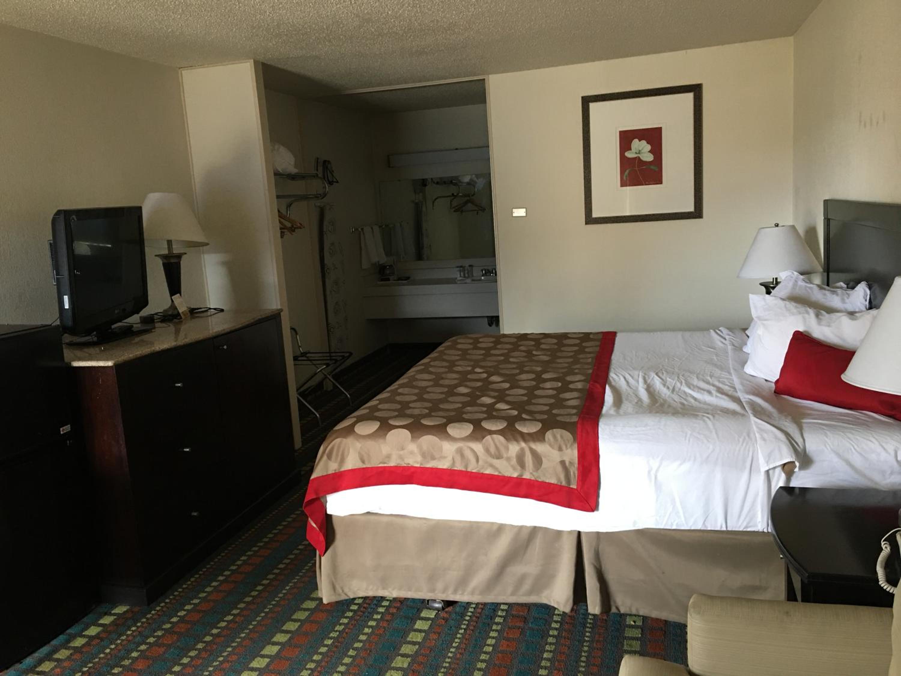 King Room - Photo 2