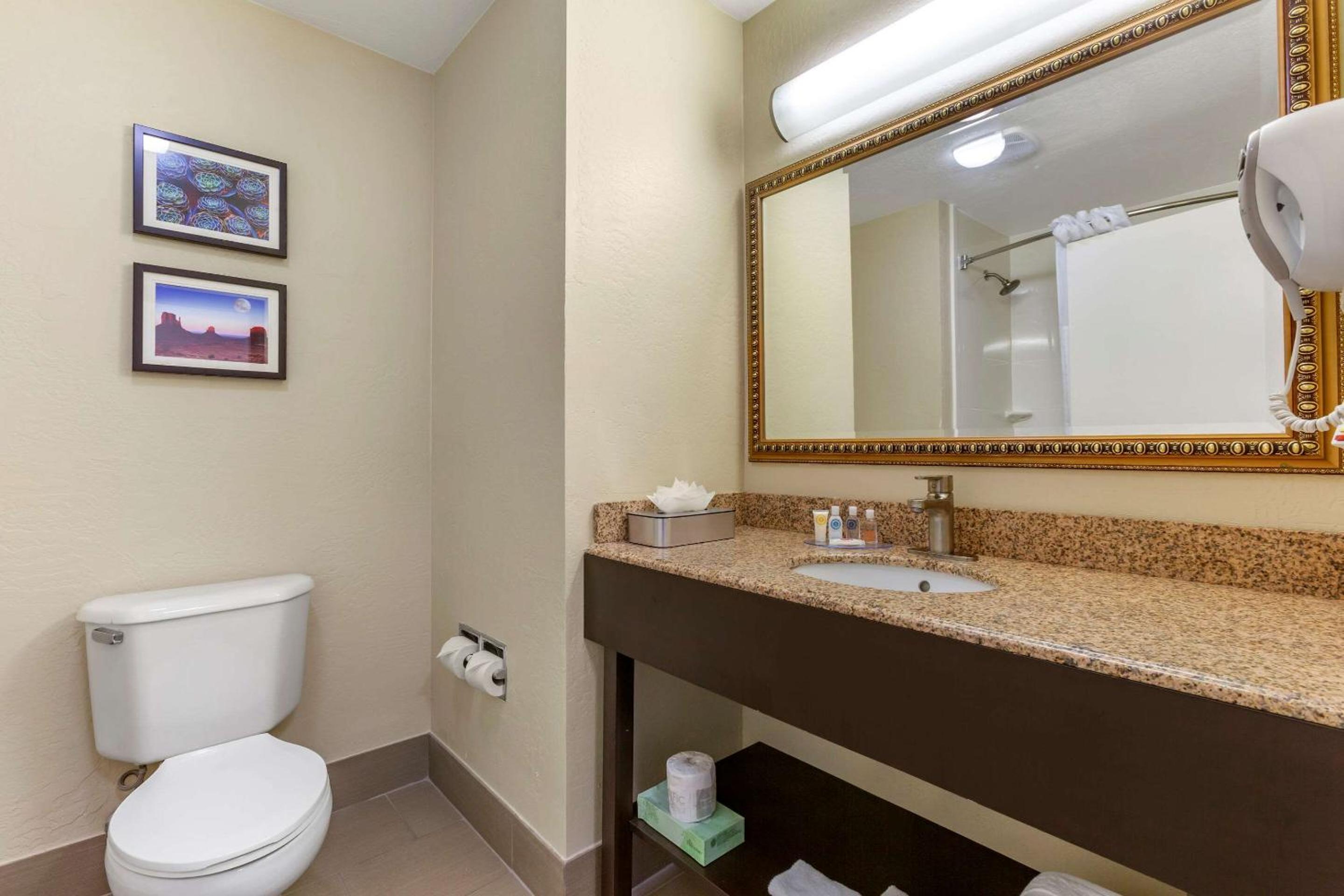 Deluxe King Suite with Sitting Area - Non-Smoking - Photo 2