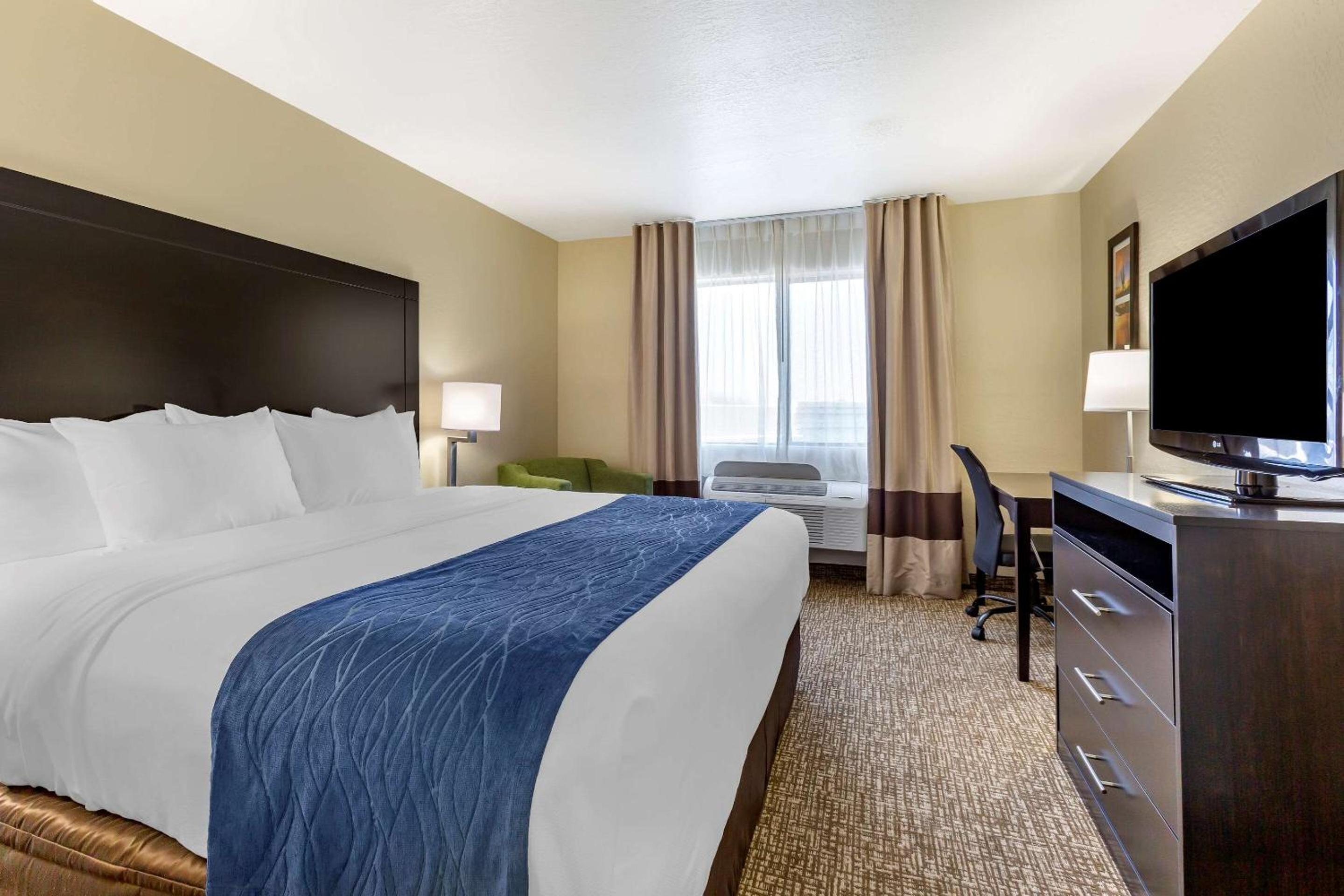 Premium King Suite with Living Room - Non-Smoking - Photo 6