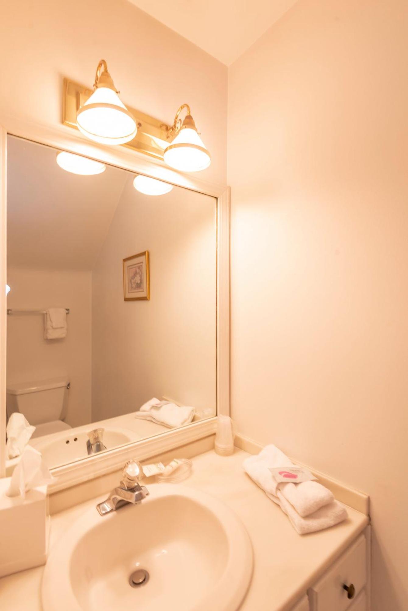 One-Bedroom Suite - Photo 6