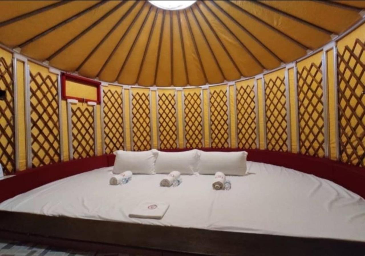  Mongolian Yurt 3 Pax Shared Toilet photo 3