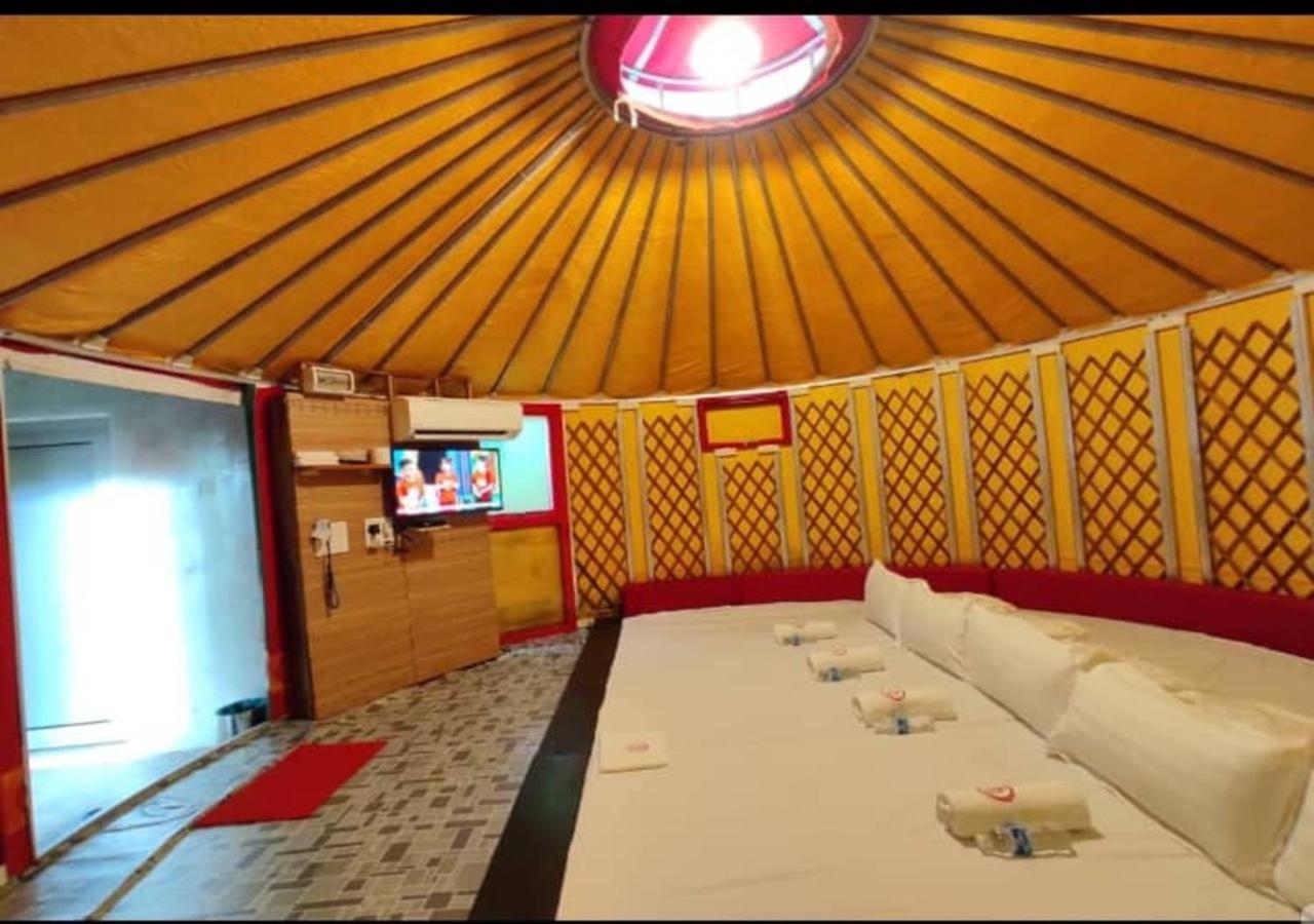 Mongolian Yurt 5 Pax (Private Toilet) - Photo 2