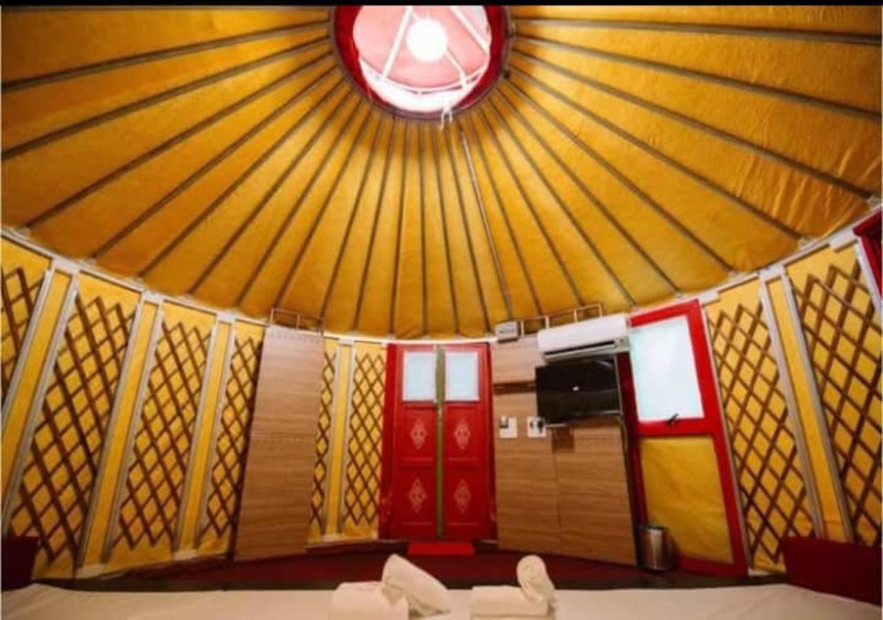 Mongolian Yurt 5 Pax (Private Toilet) - Photo 1