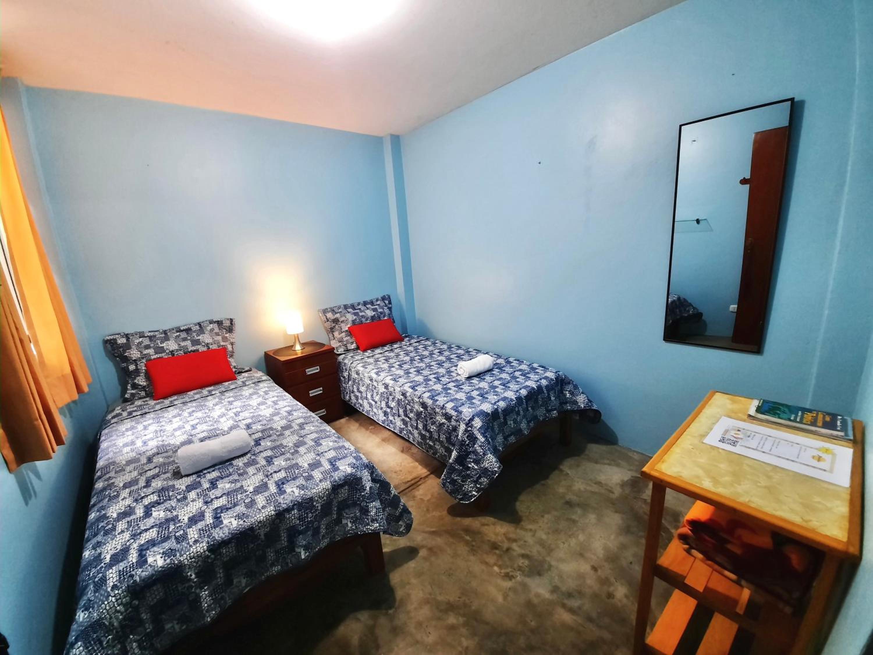 Twin Room photo 1
