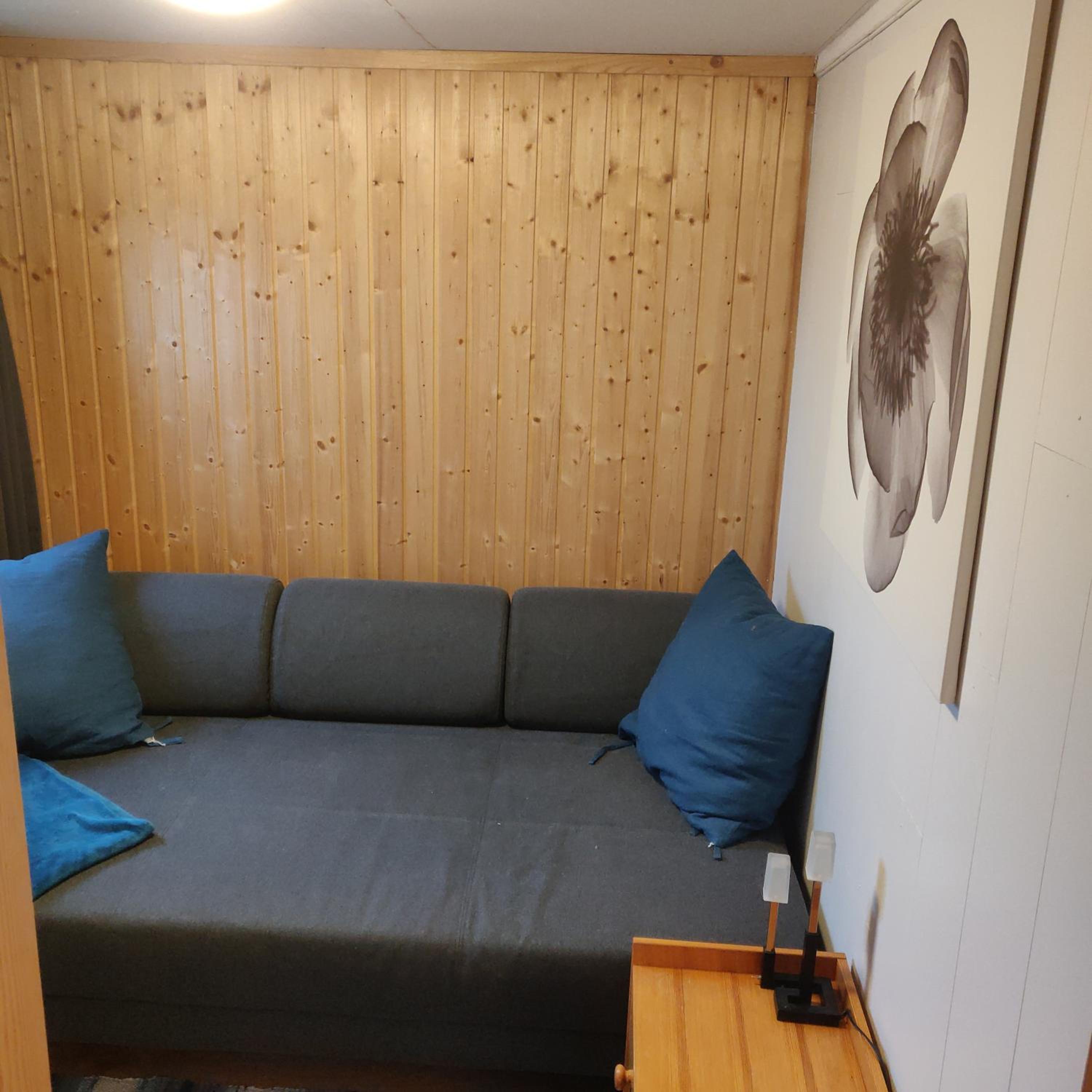 One-Bedroom Apartment photo 3