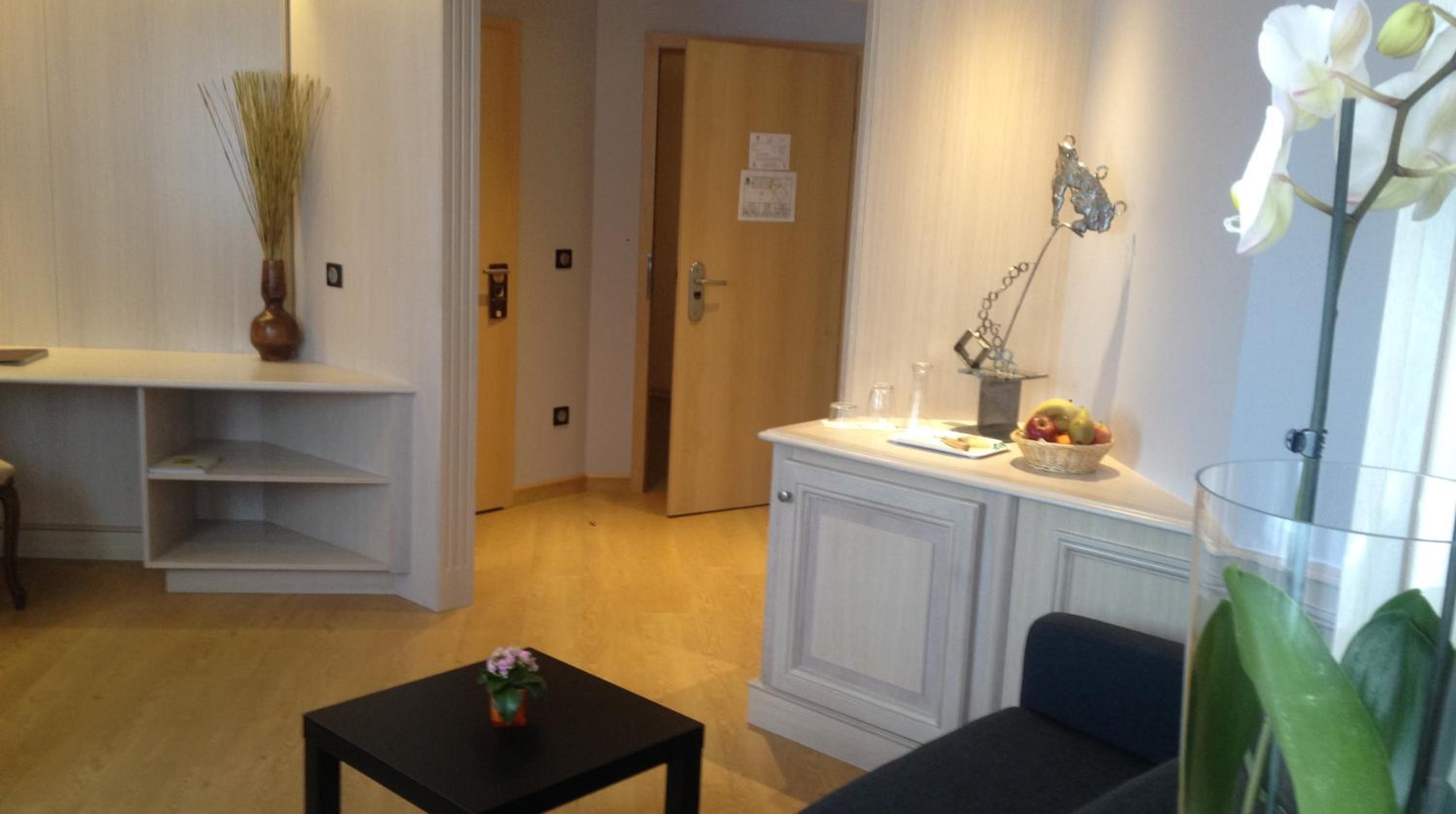 Luxury Suite - Photo 11