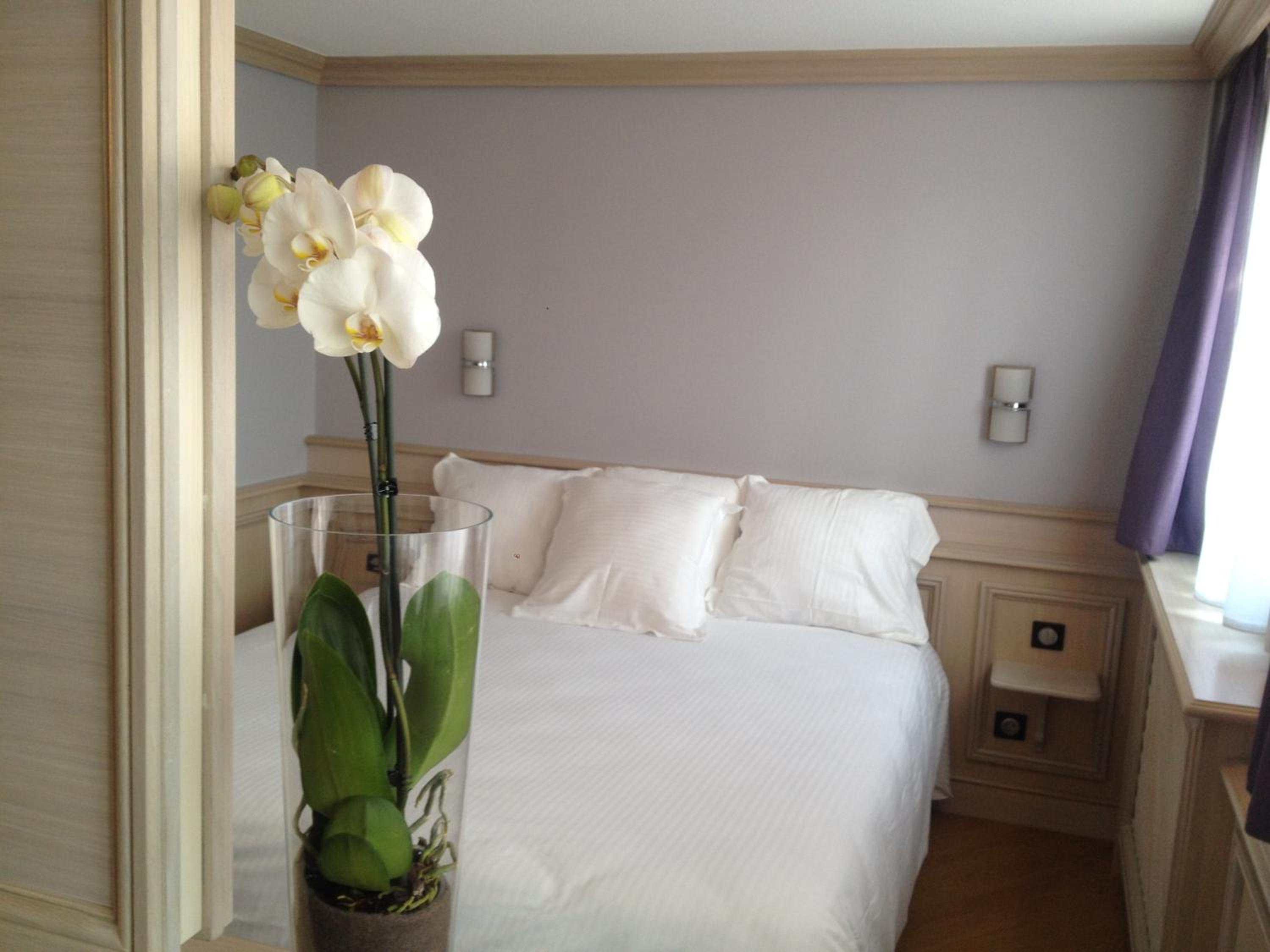 Luxury Suite - Photo 7