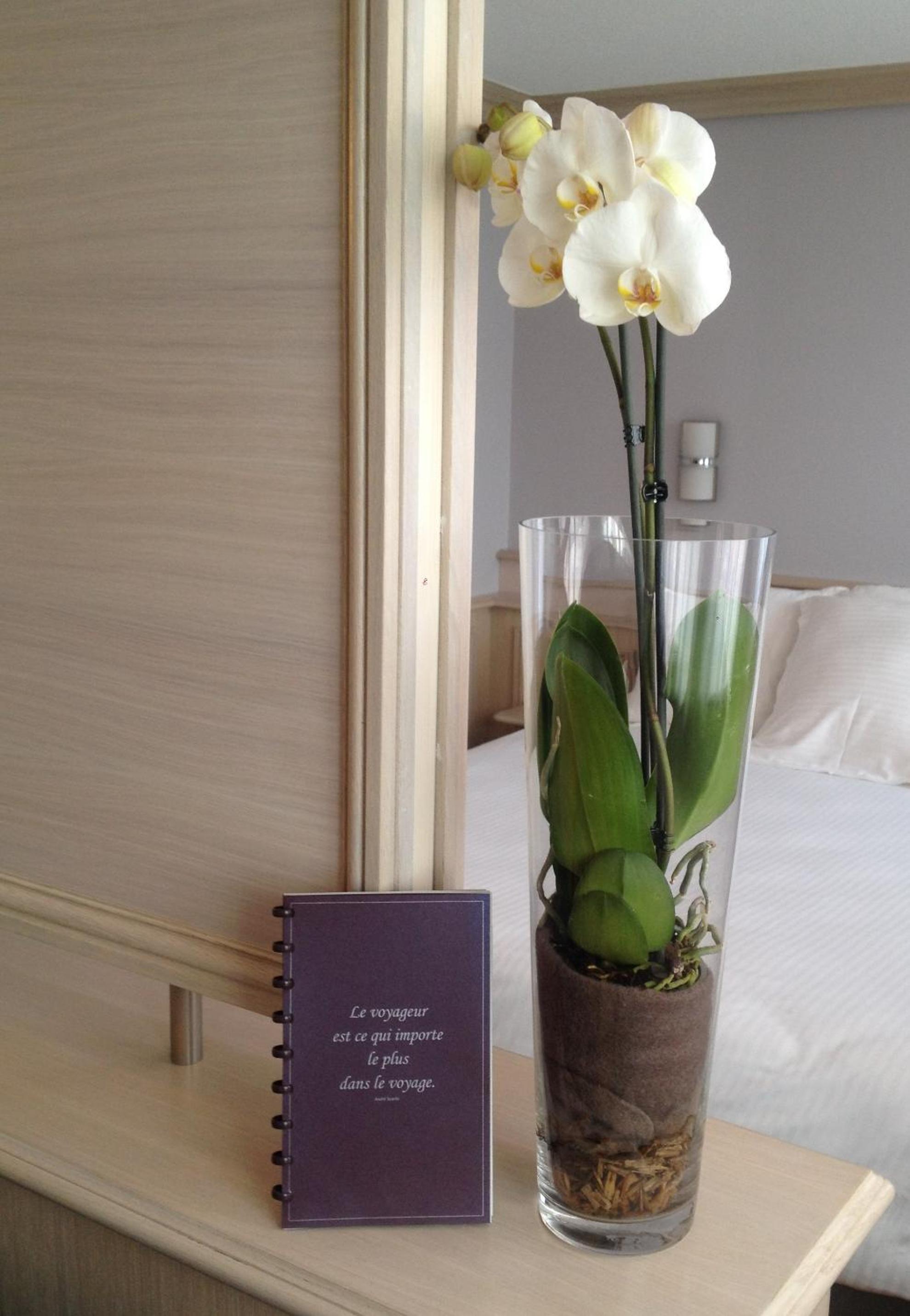 Luxury Suite - Photo 10