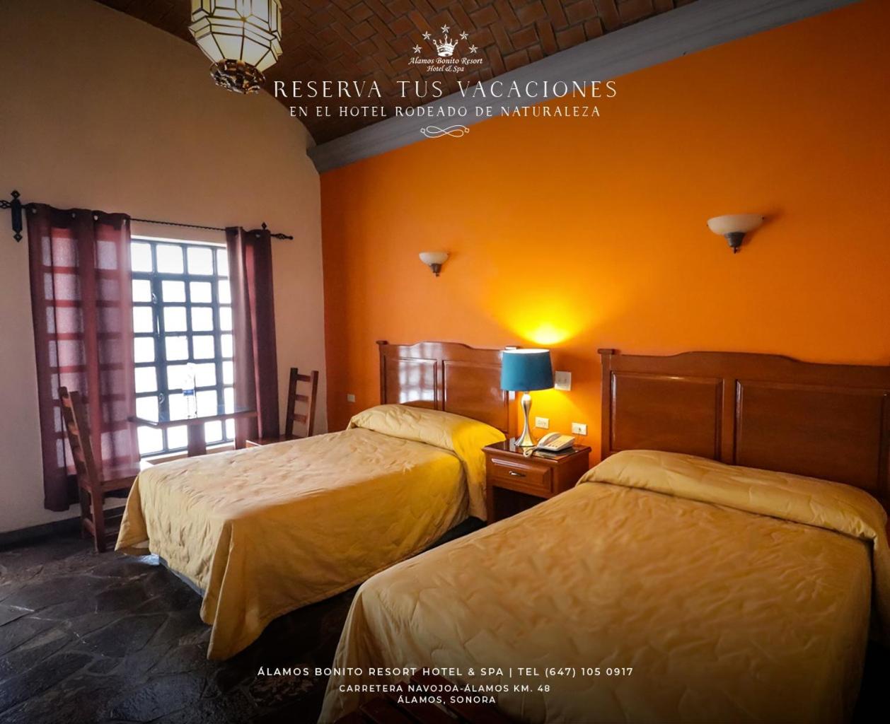 Twin Room - Photo 1