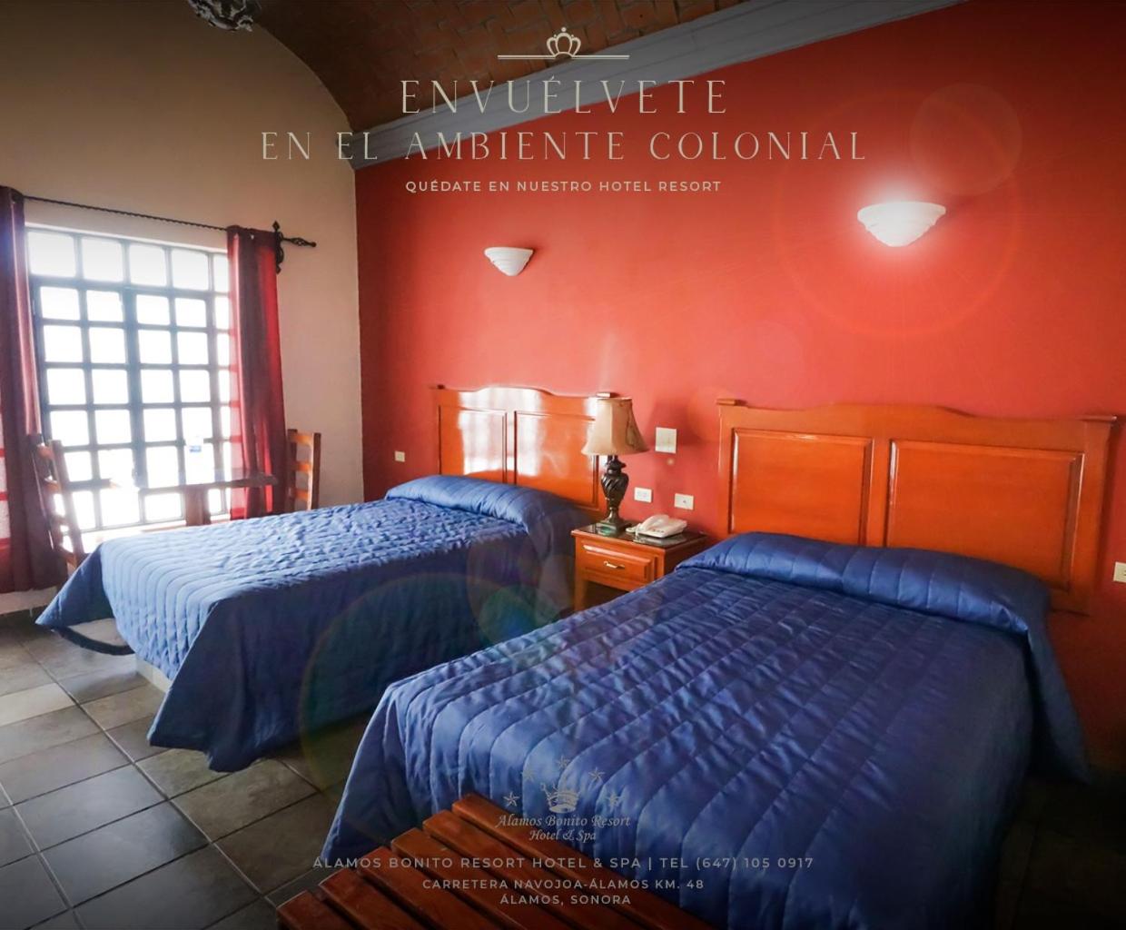 Twin Room - Photo 2