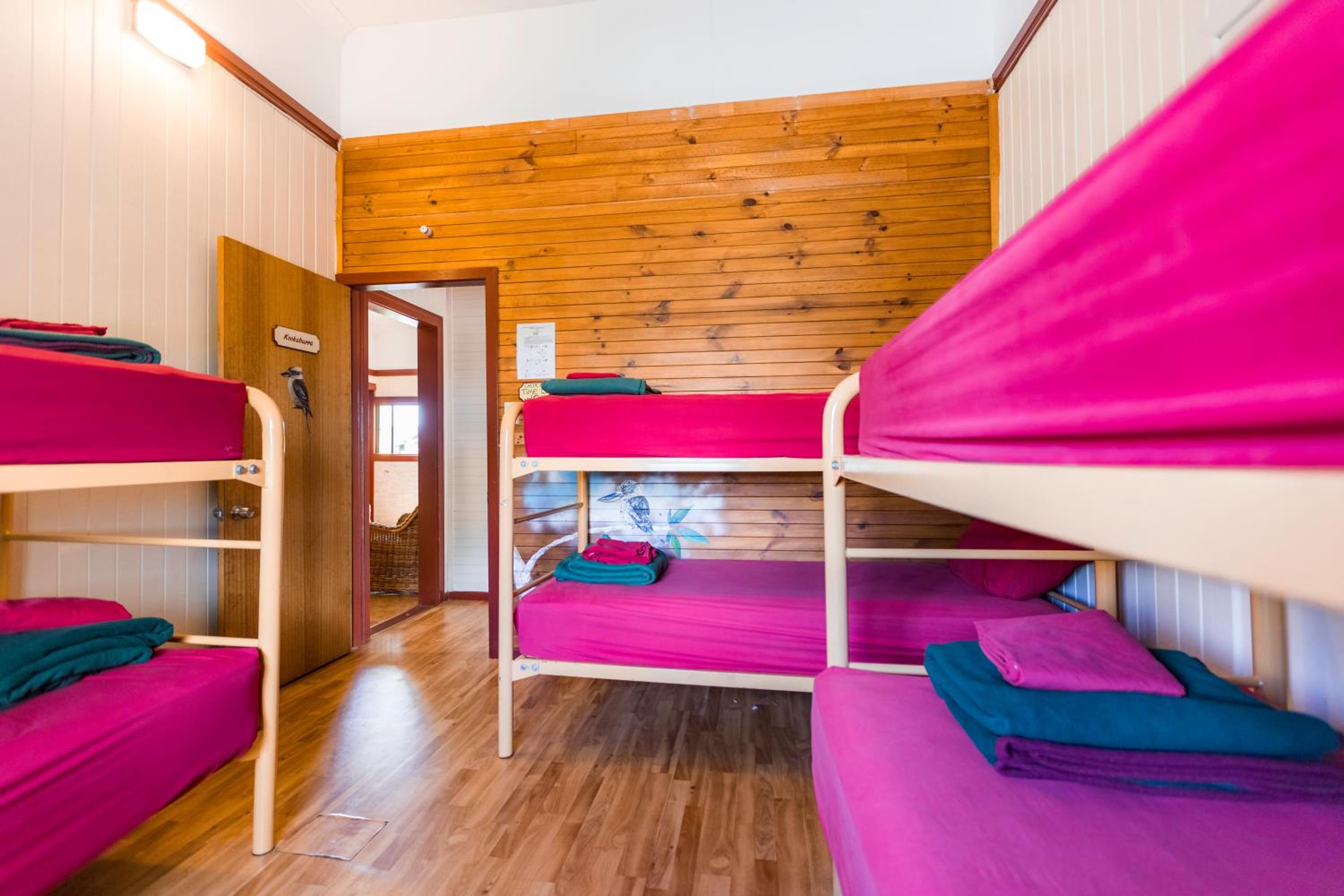 Bed in 6-Bed Mixed Dormitory Room