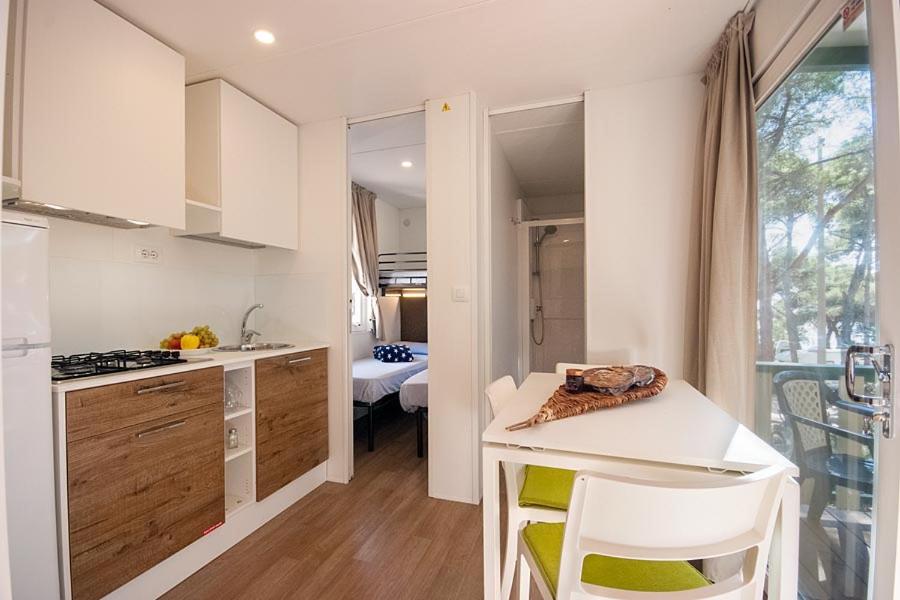 Mobile Home Deluxe - Photo 6